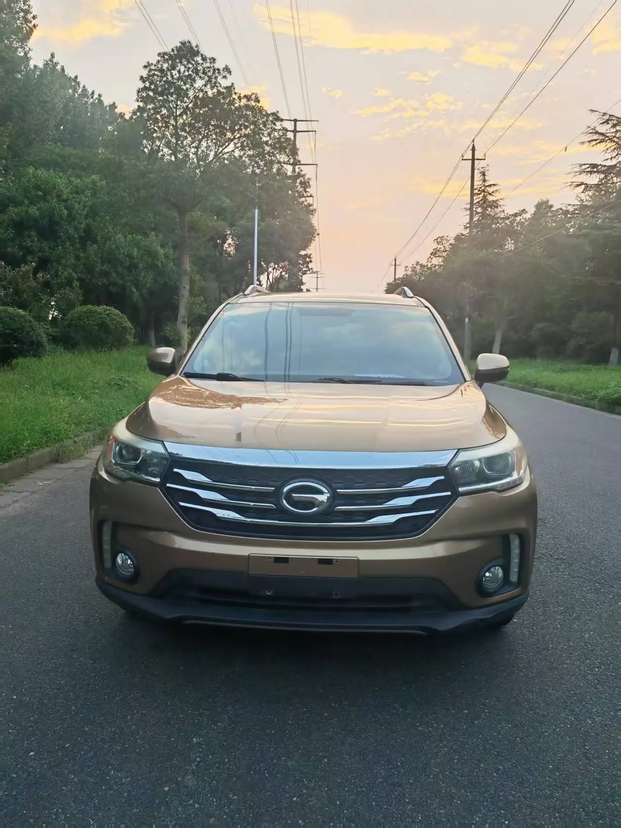 GAC Trumpchi GS4  из Китая