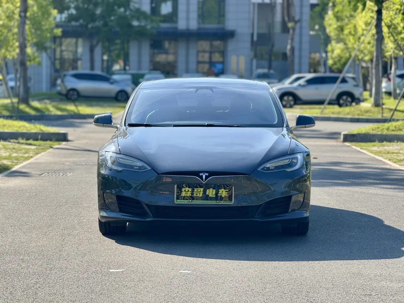 Tesla Model S  из Китая