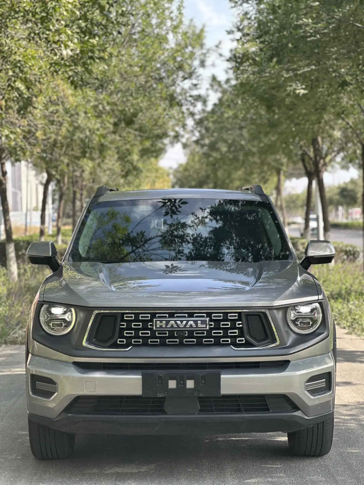 Haval Big Dog PLUS