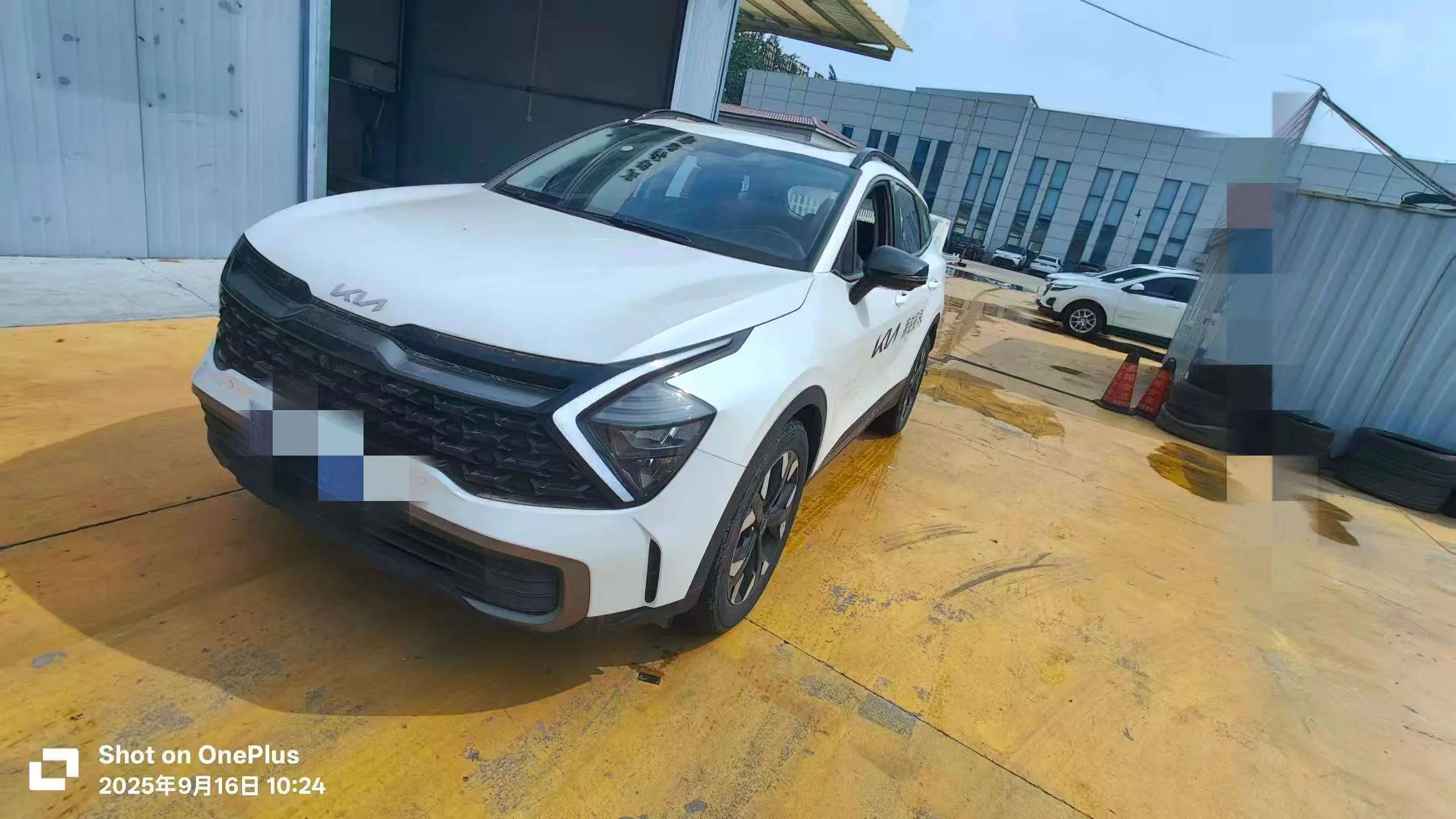 Kia Lion Platinum Expands the Boundary