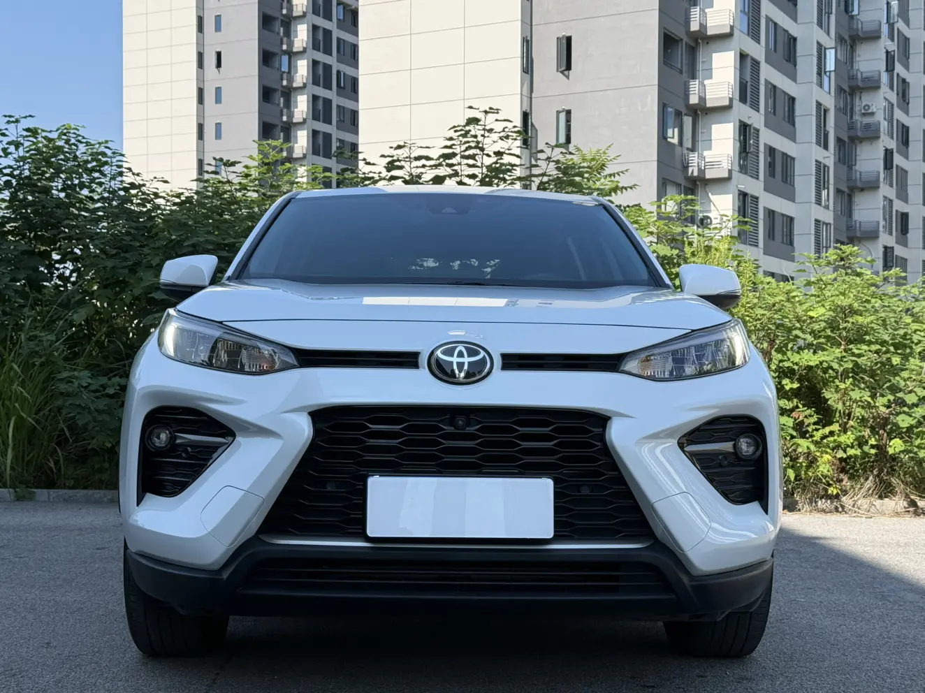 Toyota Willanda