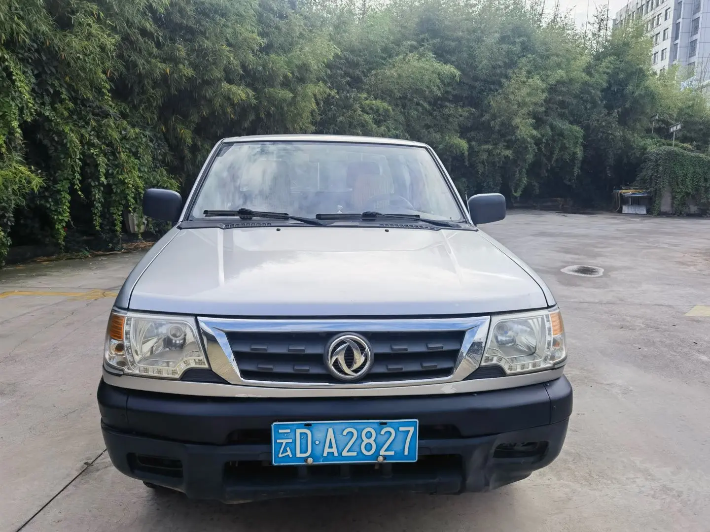 Dongfeng Ruiqi