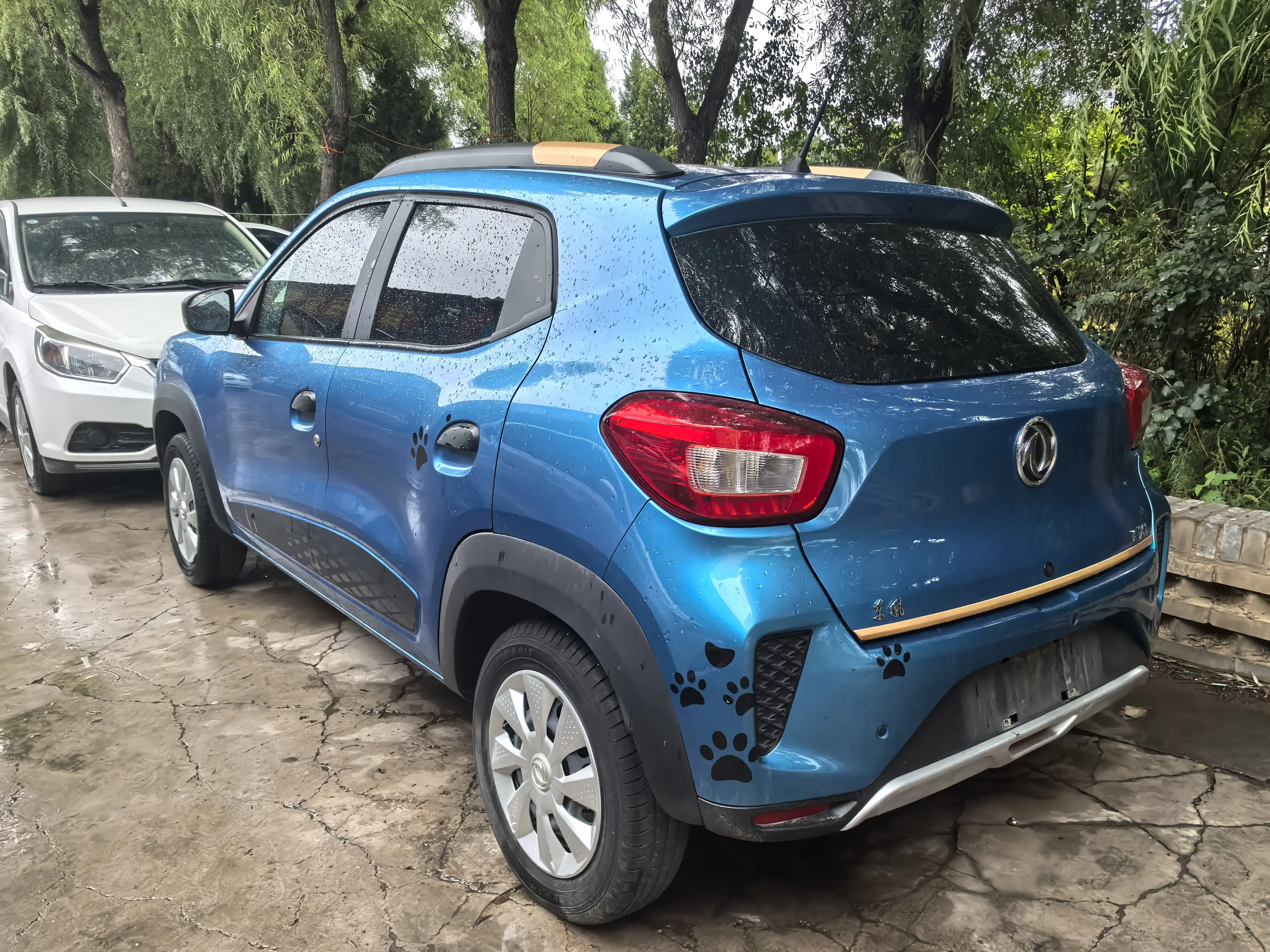 Dongfeng Nano EX1