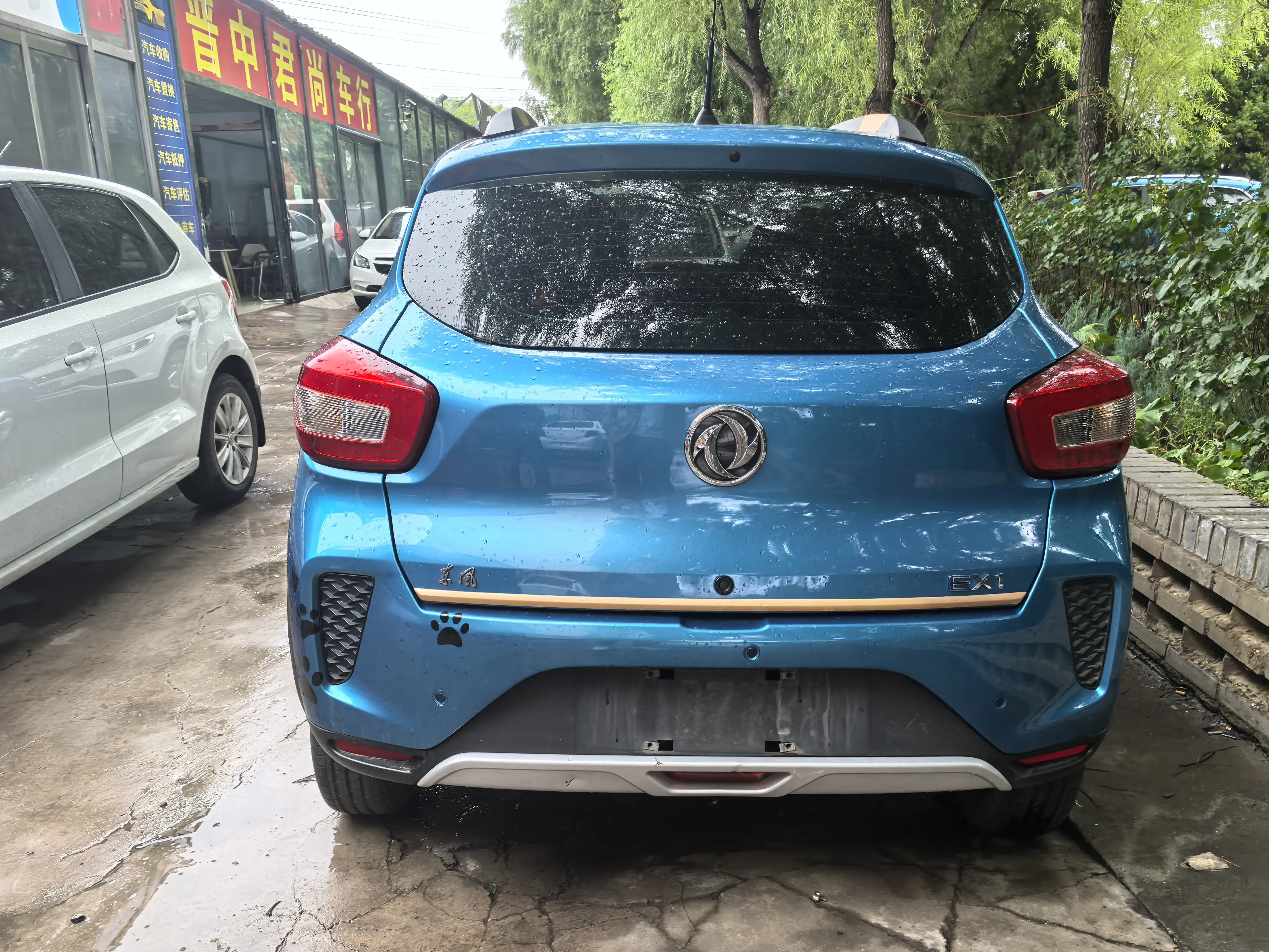 Dongfeng Nano EX1