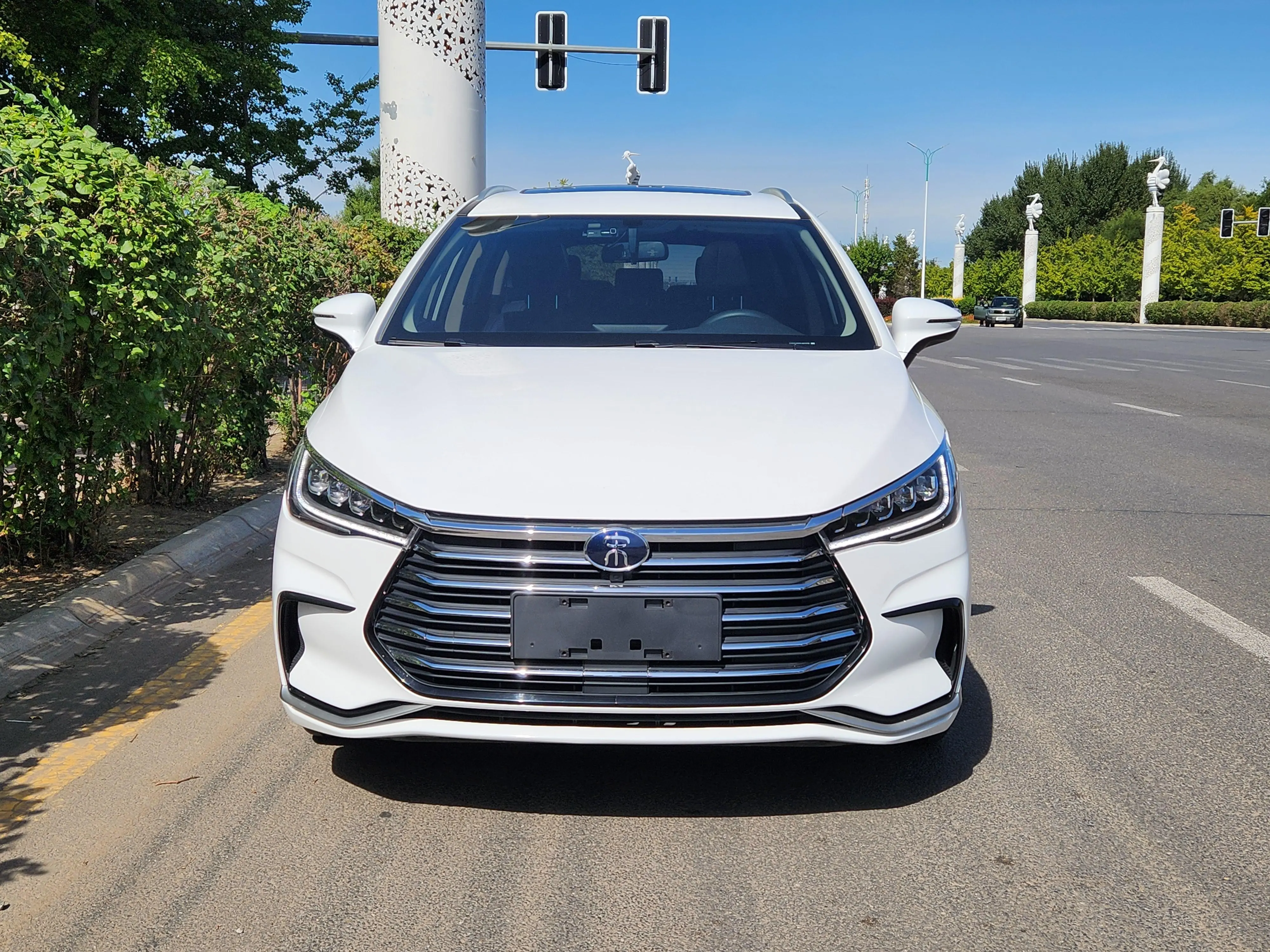 BYD Song MAX  из Китая