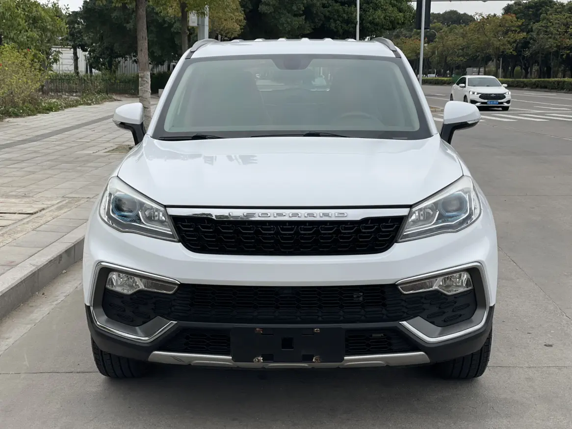 Cheetah cars Cheetah CS9