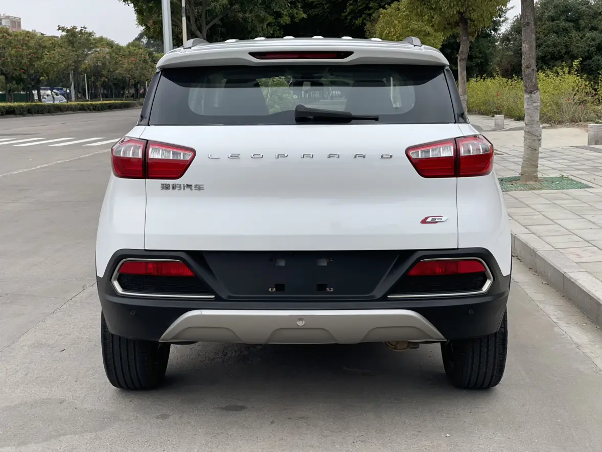 Cheetah cars Cheetah CS9