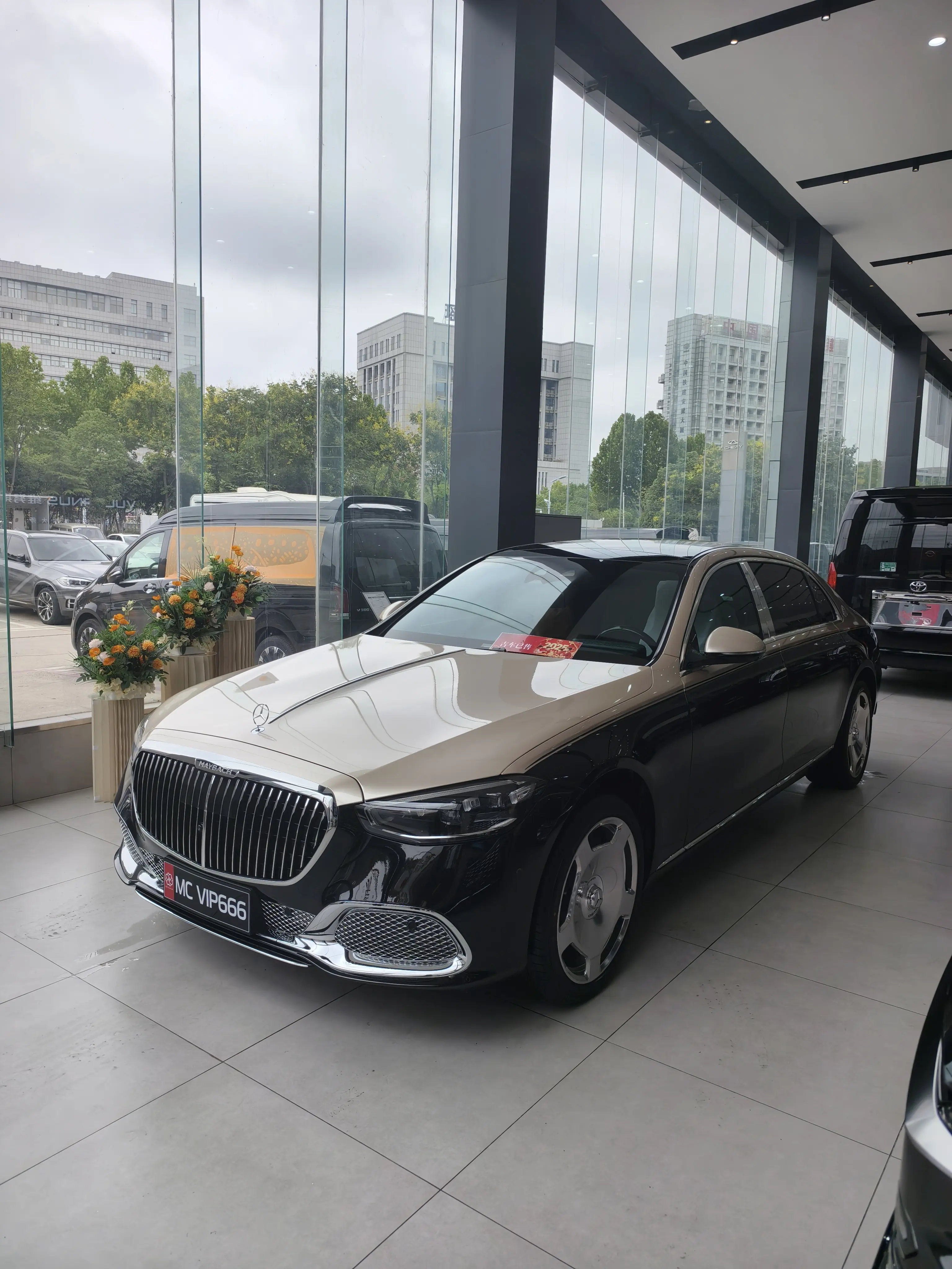 Mercedes-Benz Maybach S-Class