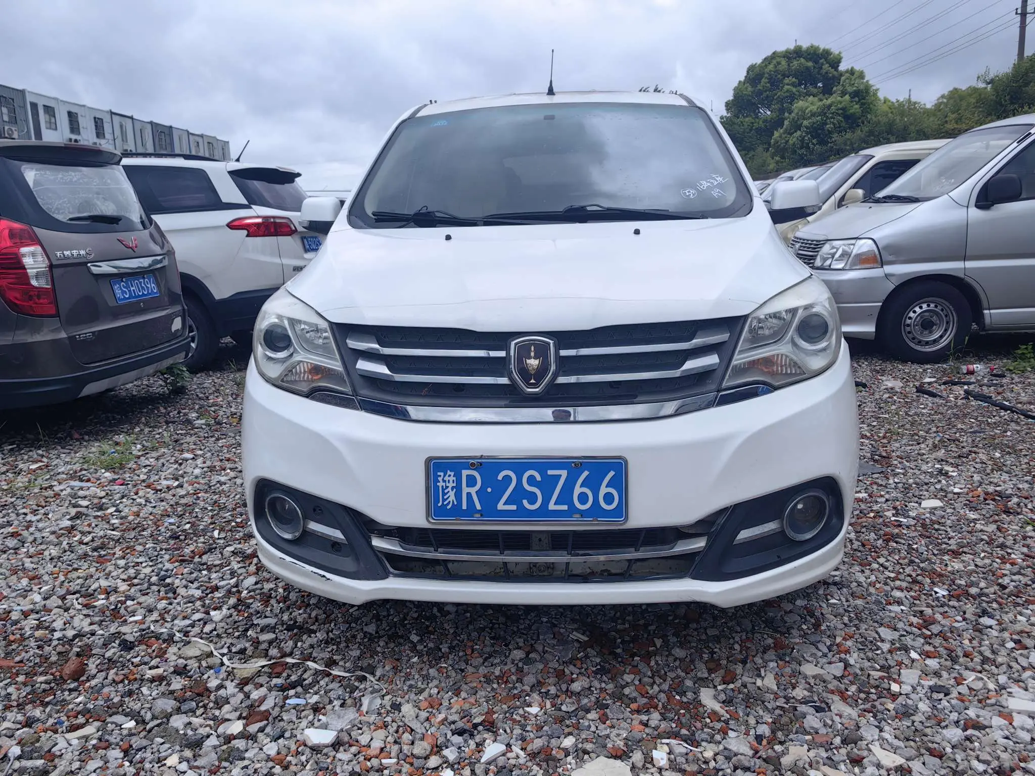 Golden cup Brilliance Jinbei 750