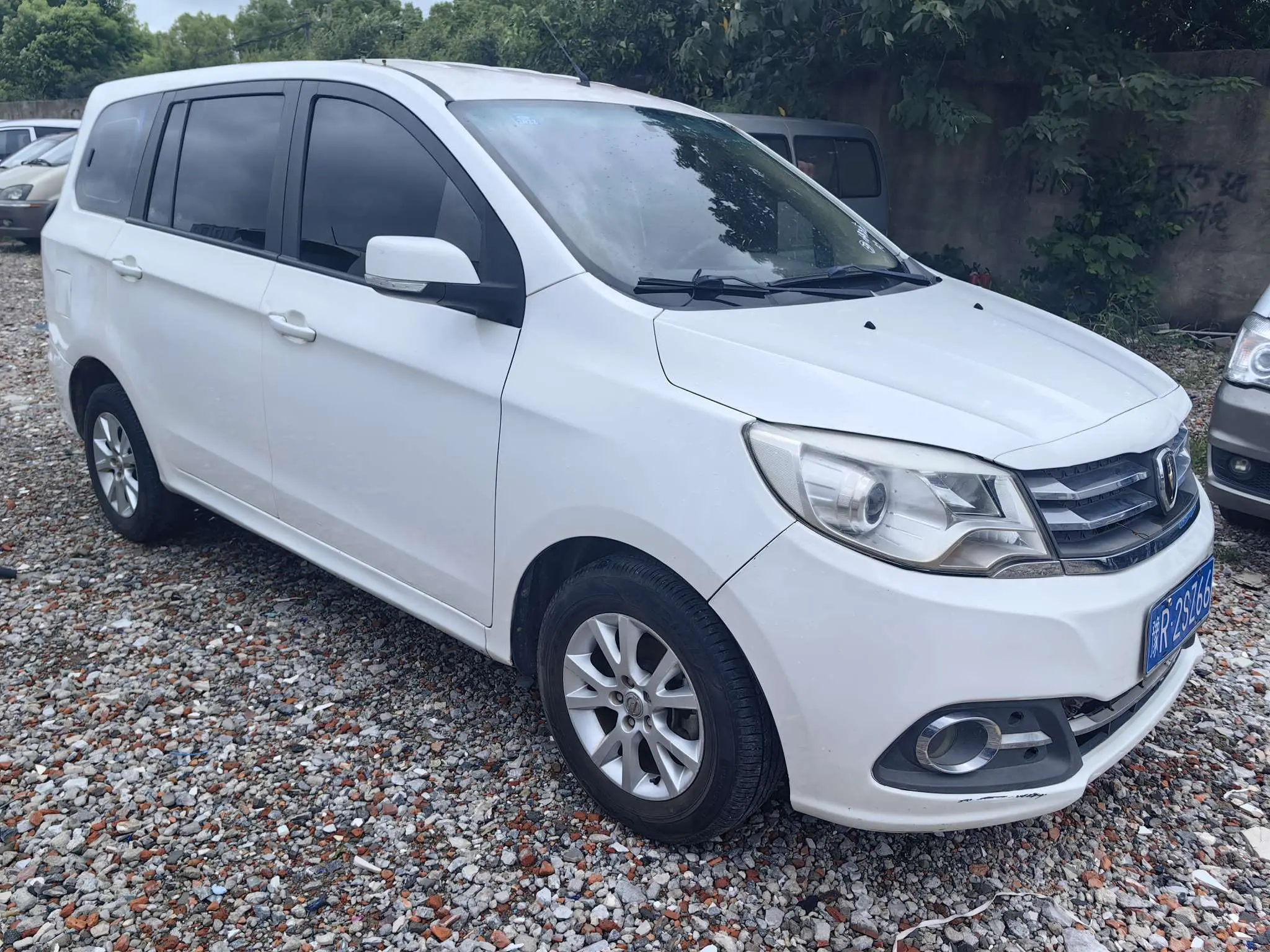 Golden cup Brilliance Jinbei 750