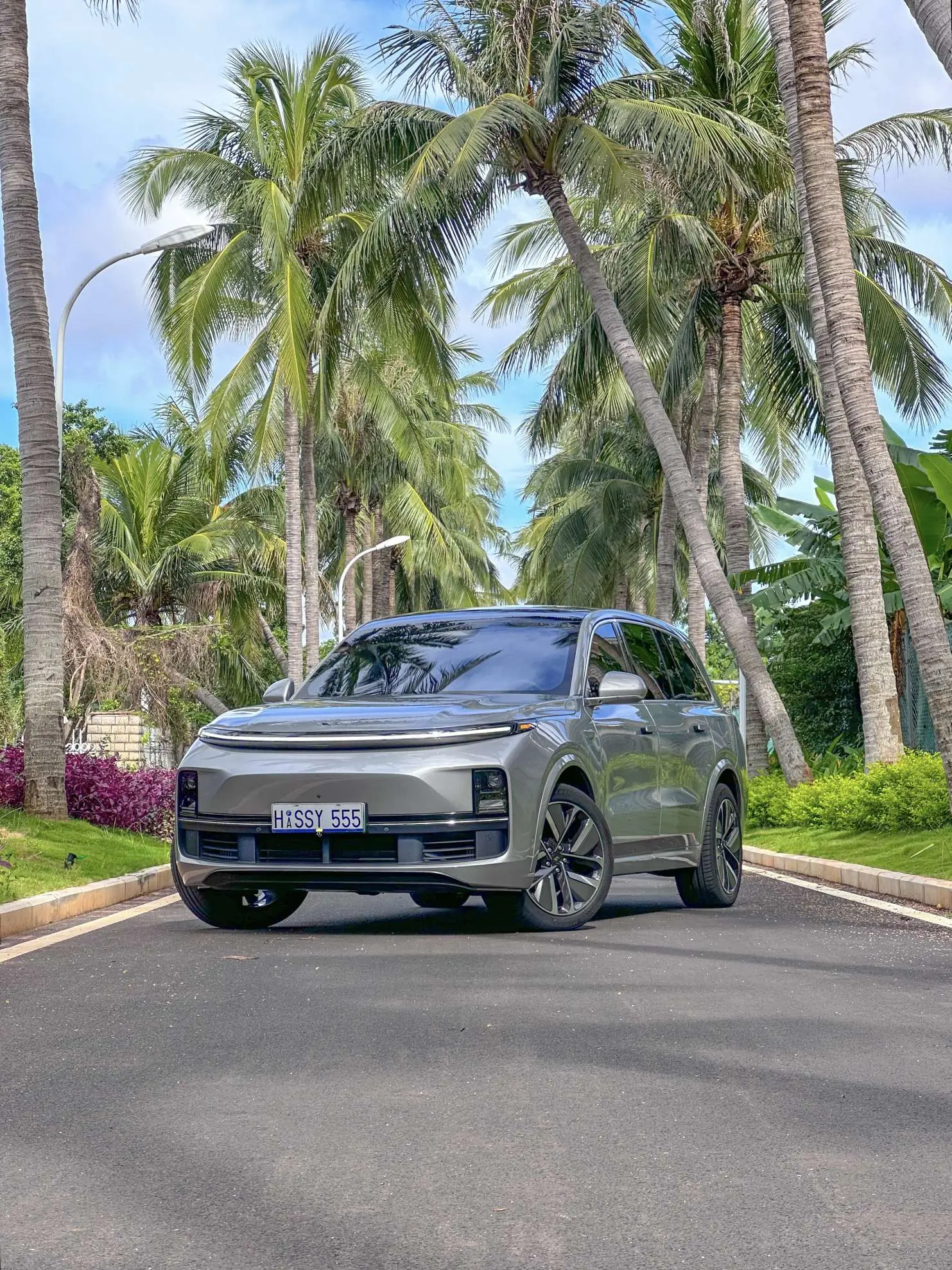 Li L9 (Ideal L9)  из Китая