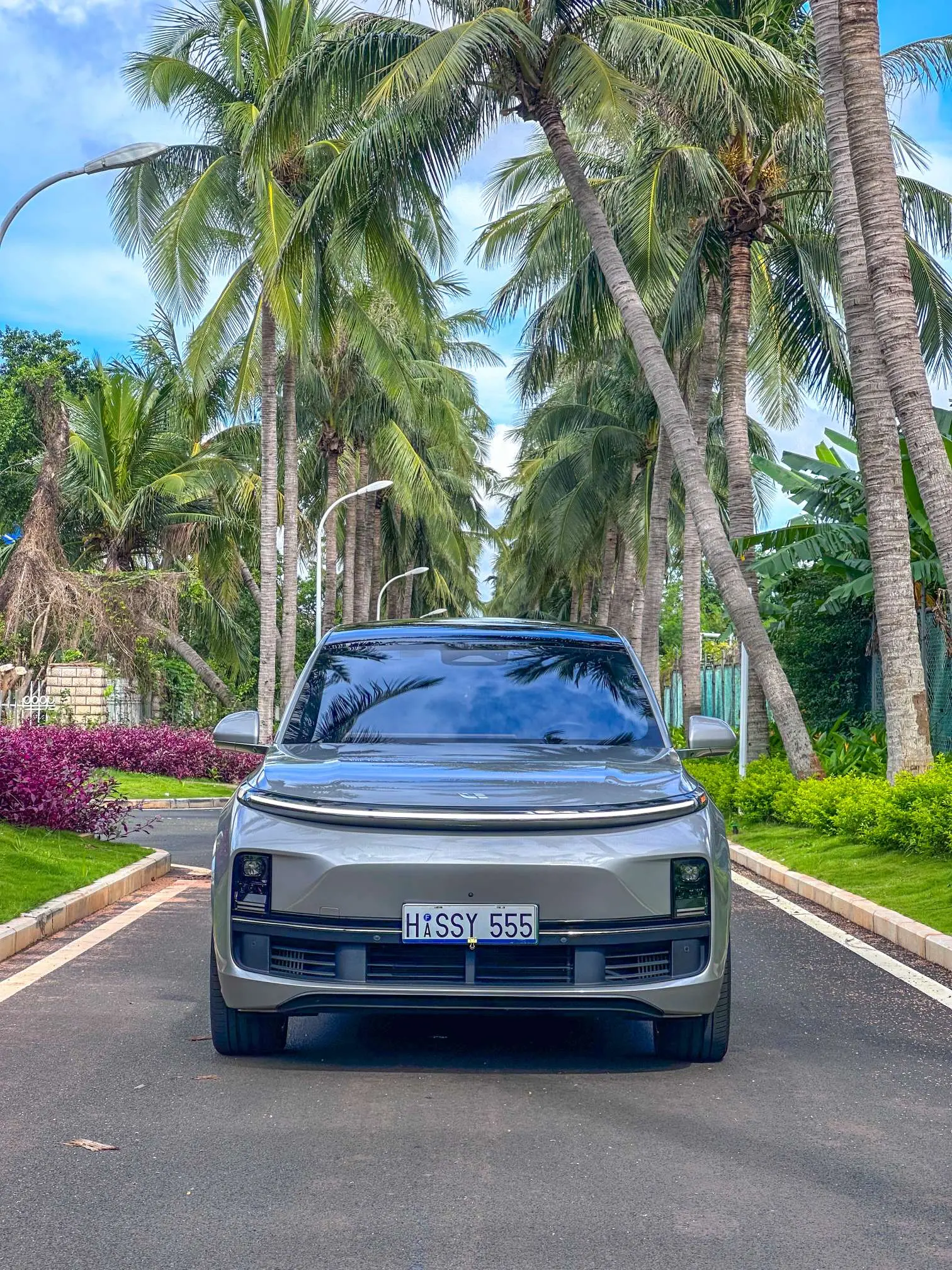 Li L9 (Ideal L9)  из Китая