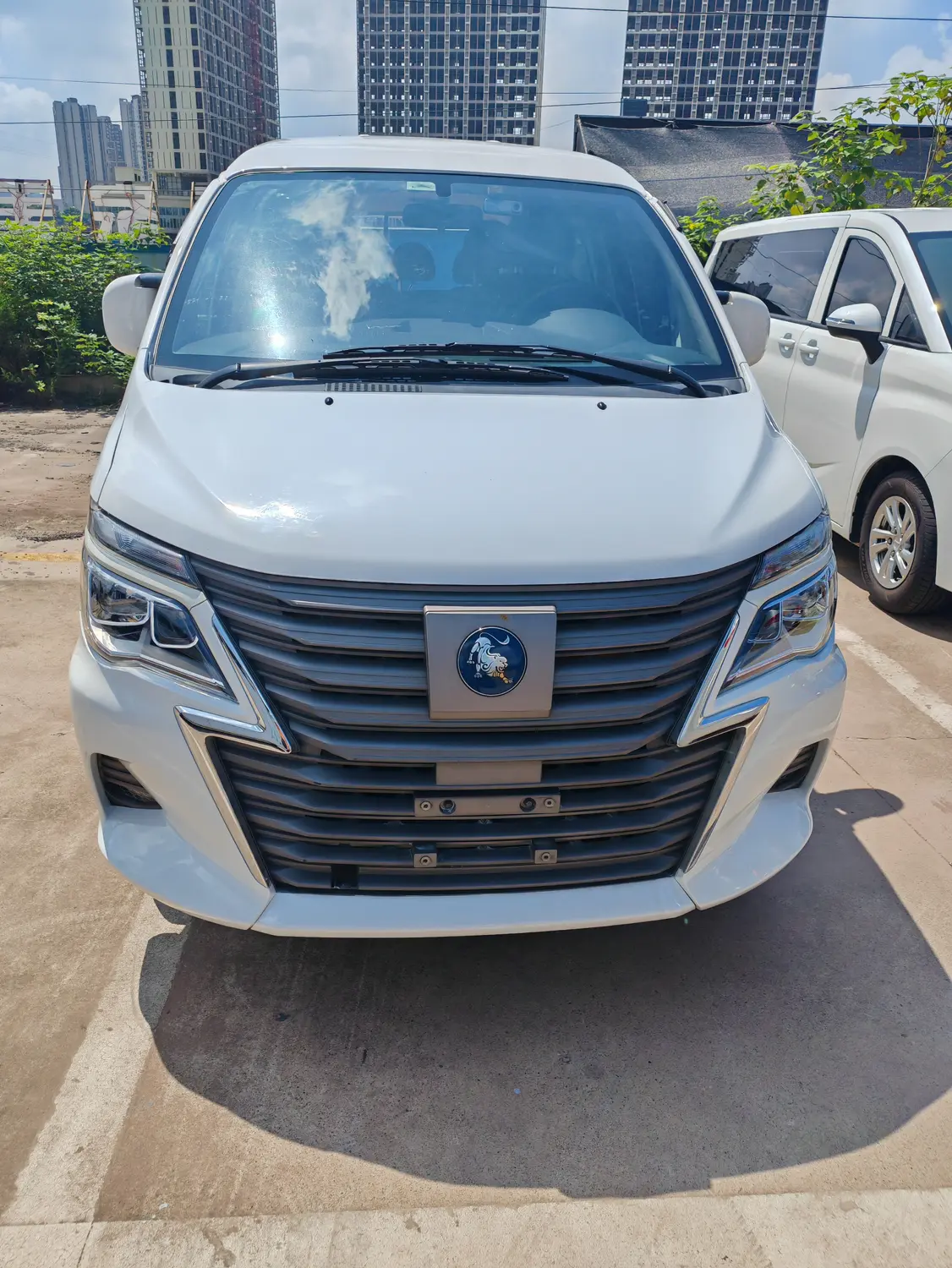 Forthing Lingzhi New Energy  из Китая