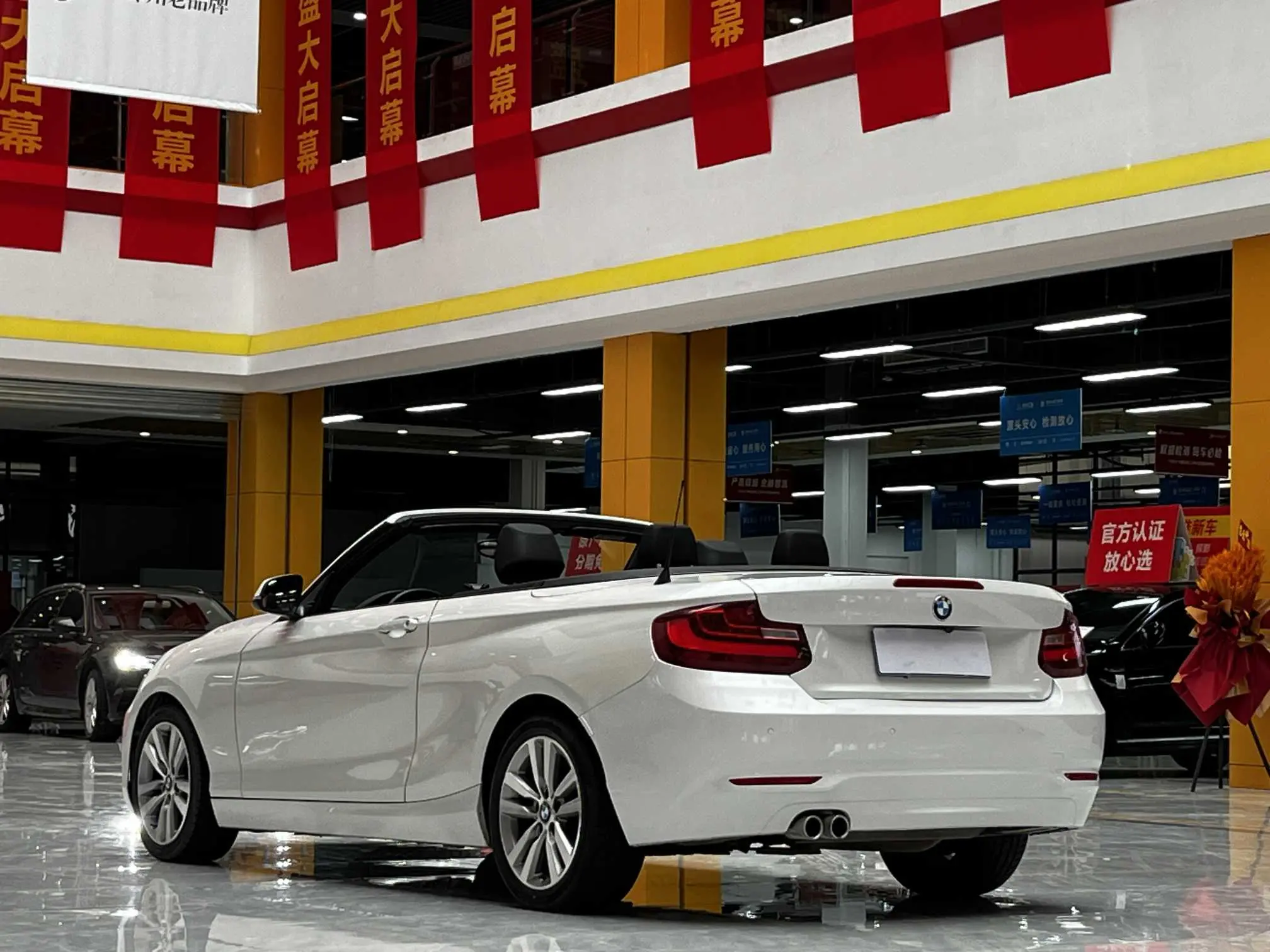 BMW 2 Series (Imported)