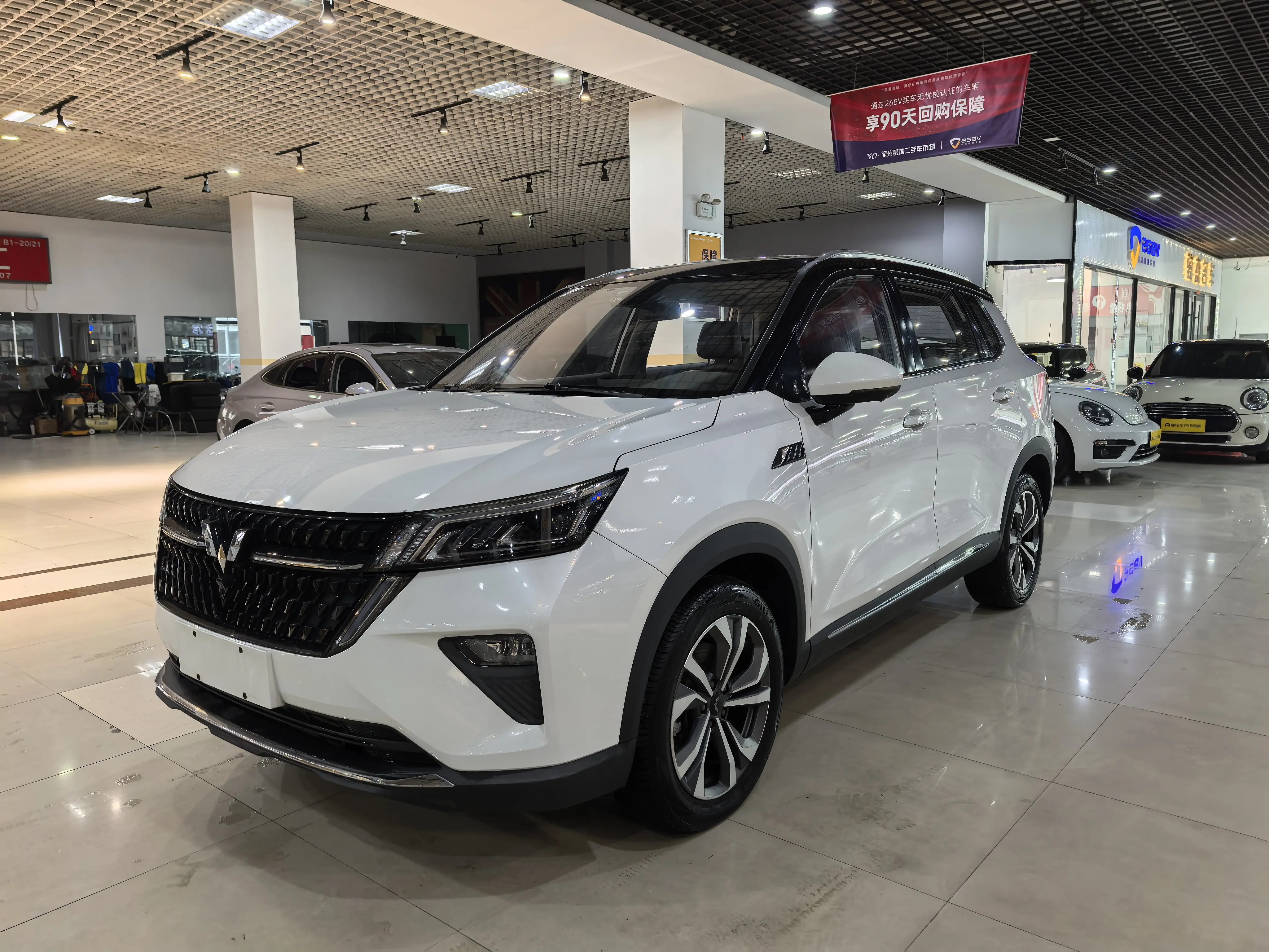 Wuling Star