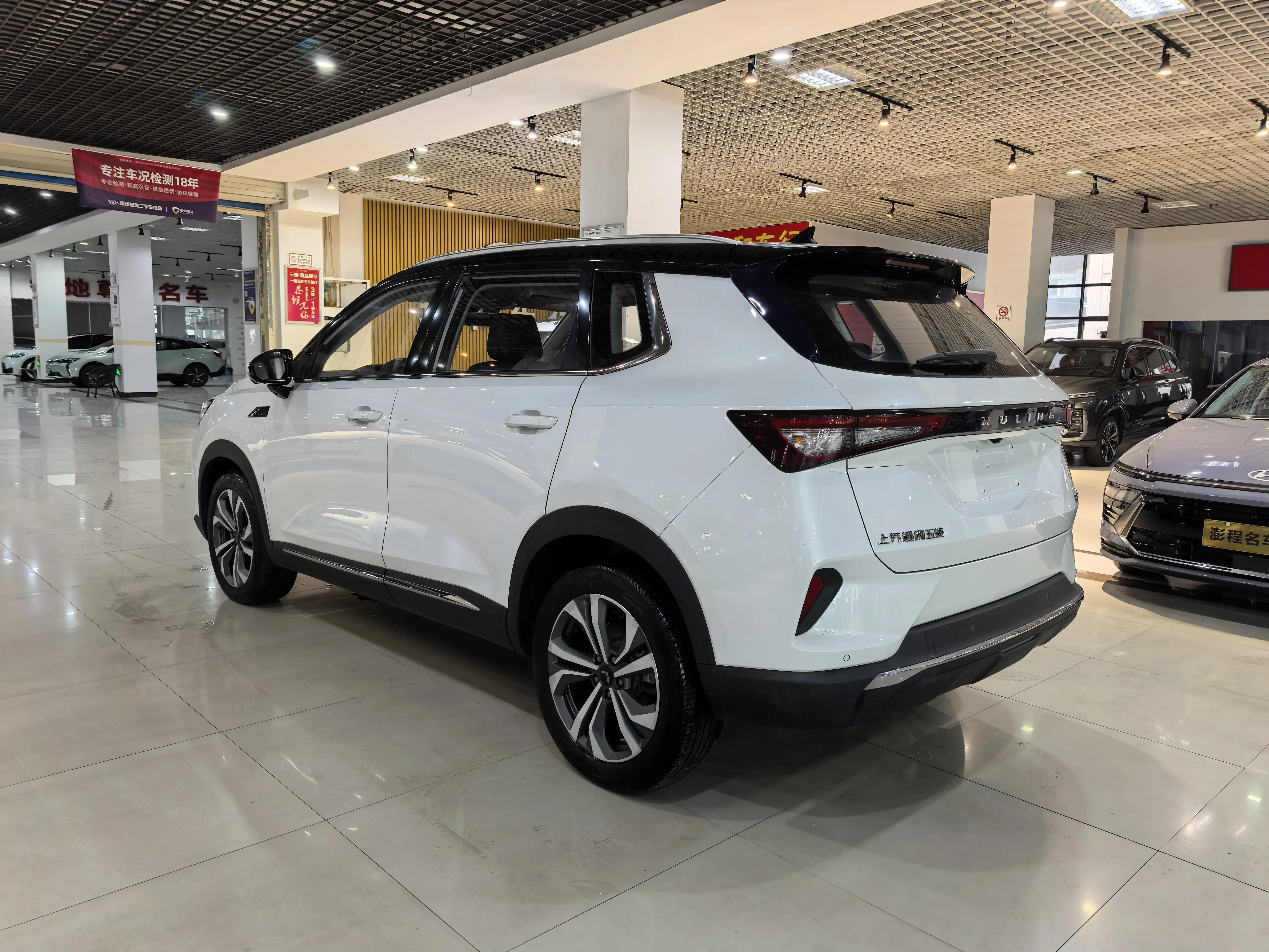 Wuling Star