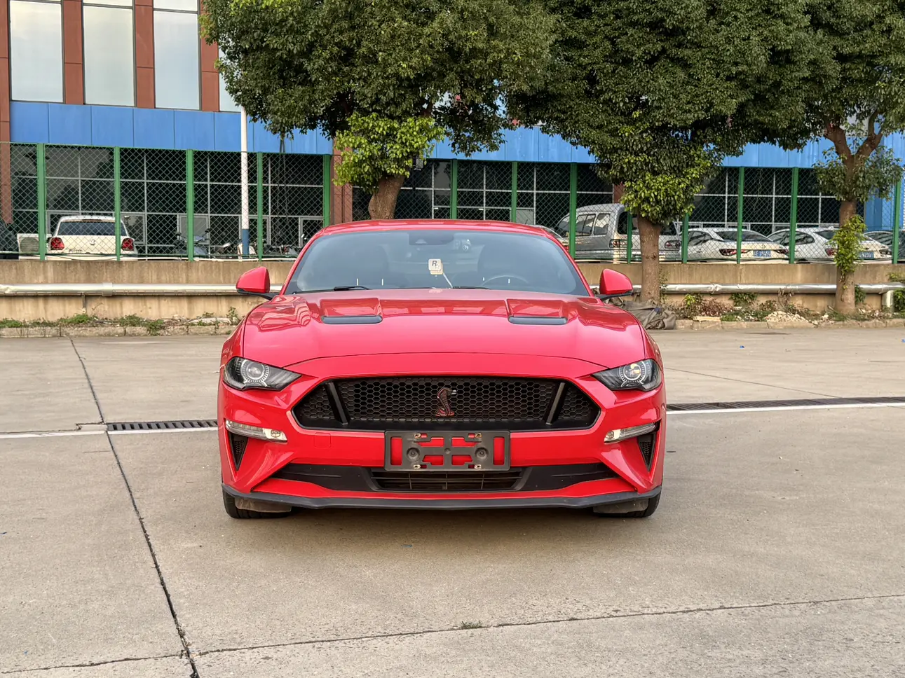 Ford Mustang