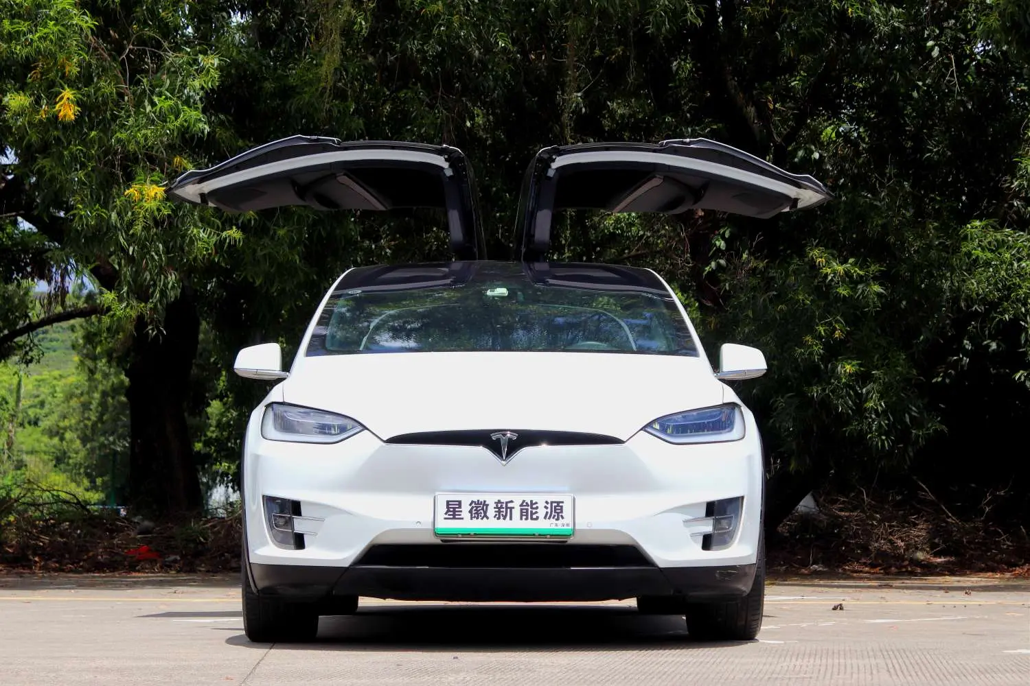 Tesla Model X