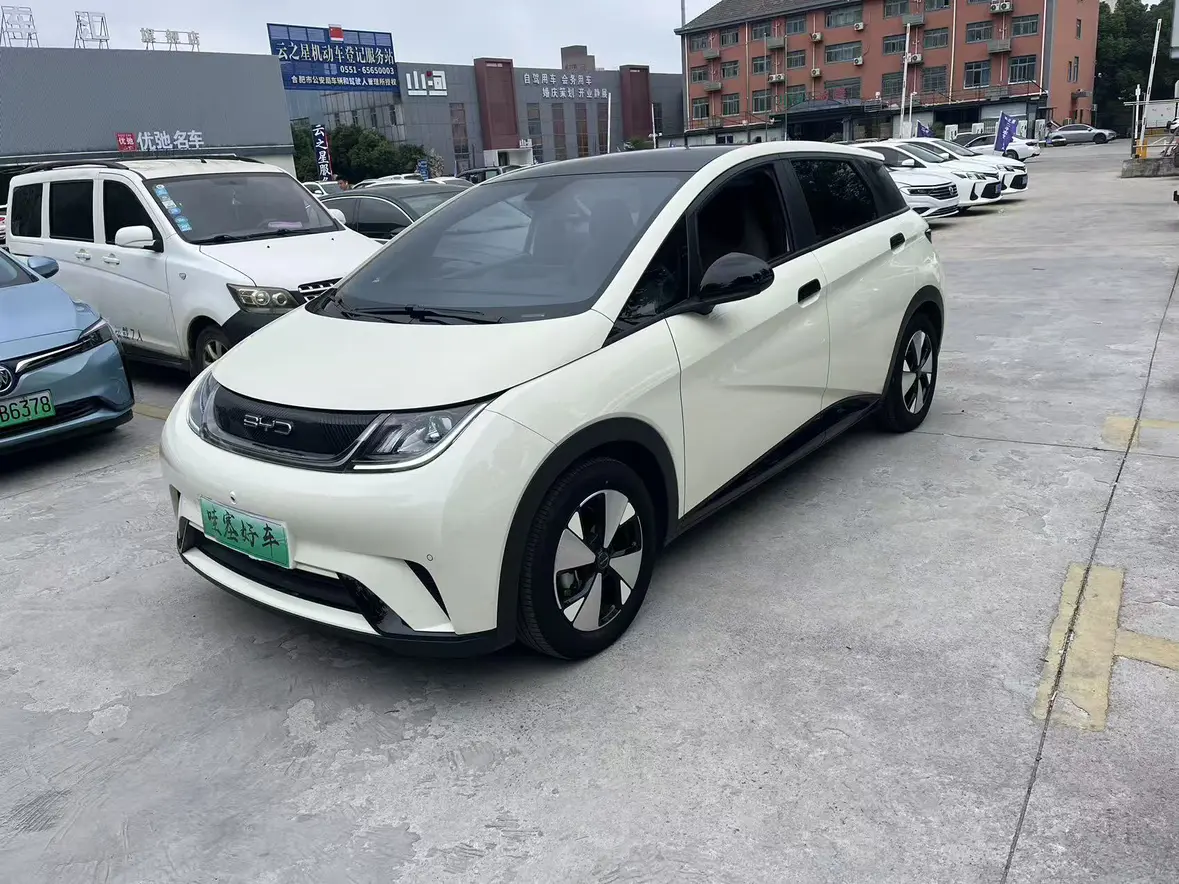 BYD Dolphin  из Китая
