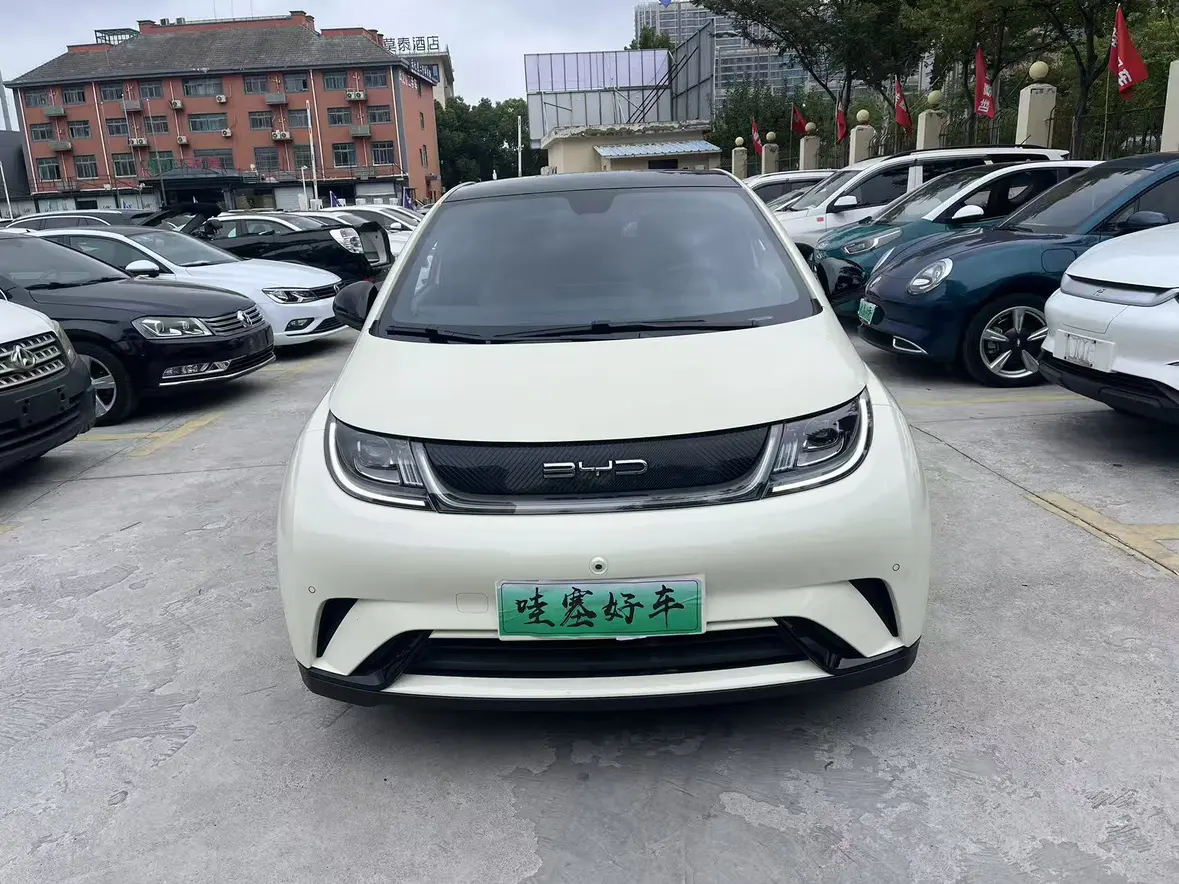 BYD Dolphin  из Китая