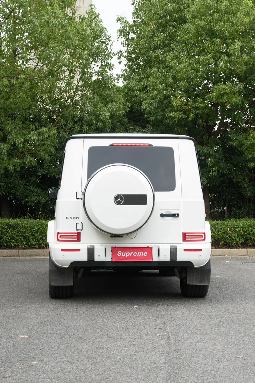 Mercedes-Benz Mercedes Benz G Class