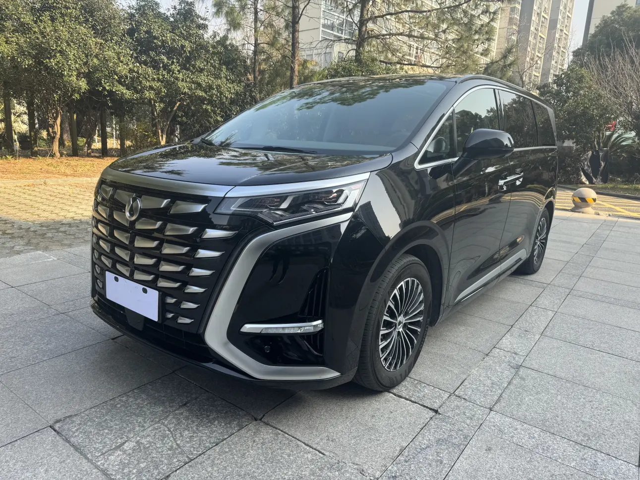 Denza D9 DM  из Китая