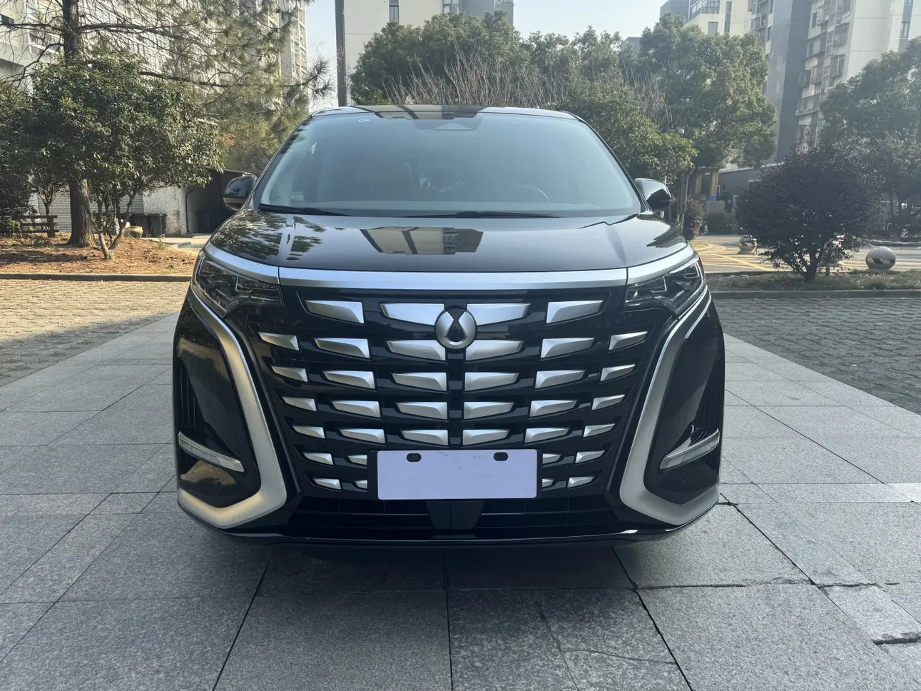 Denza D9 DM  из Китая