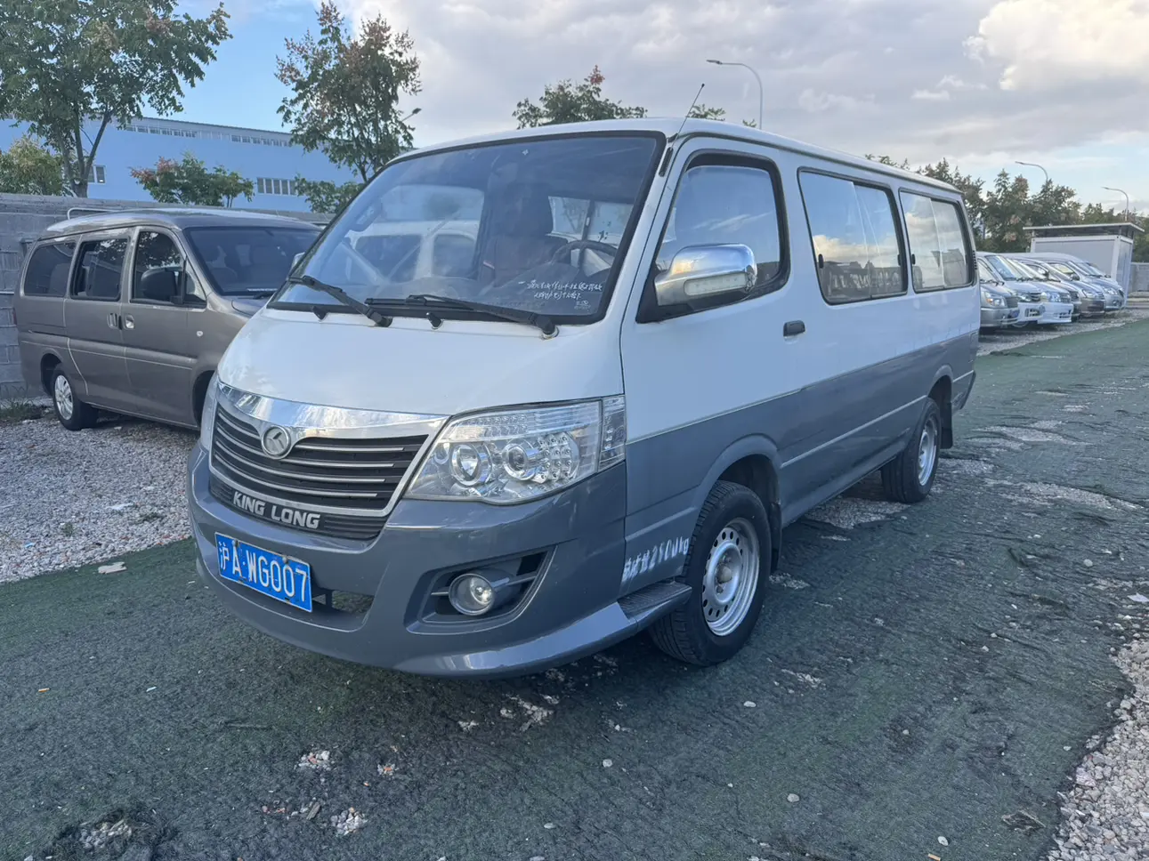 Golden dragon Jinwei