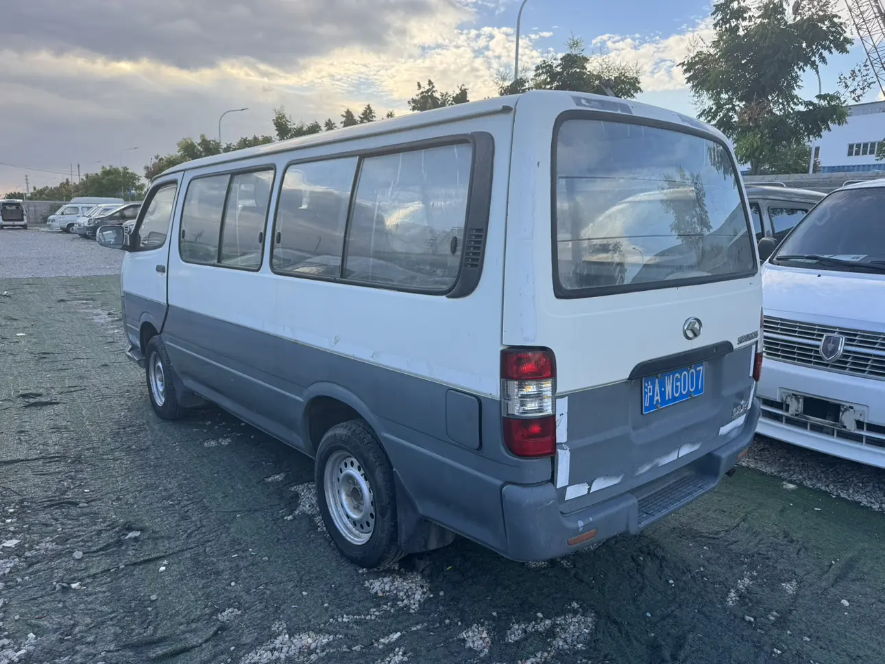 Golden dragon Jinwei