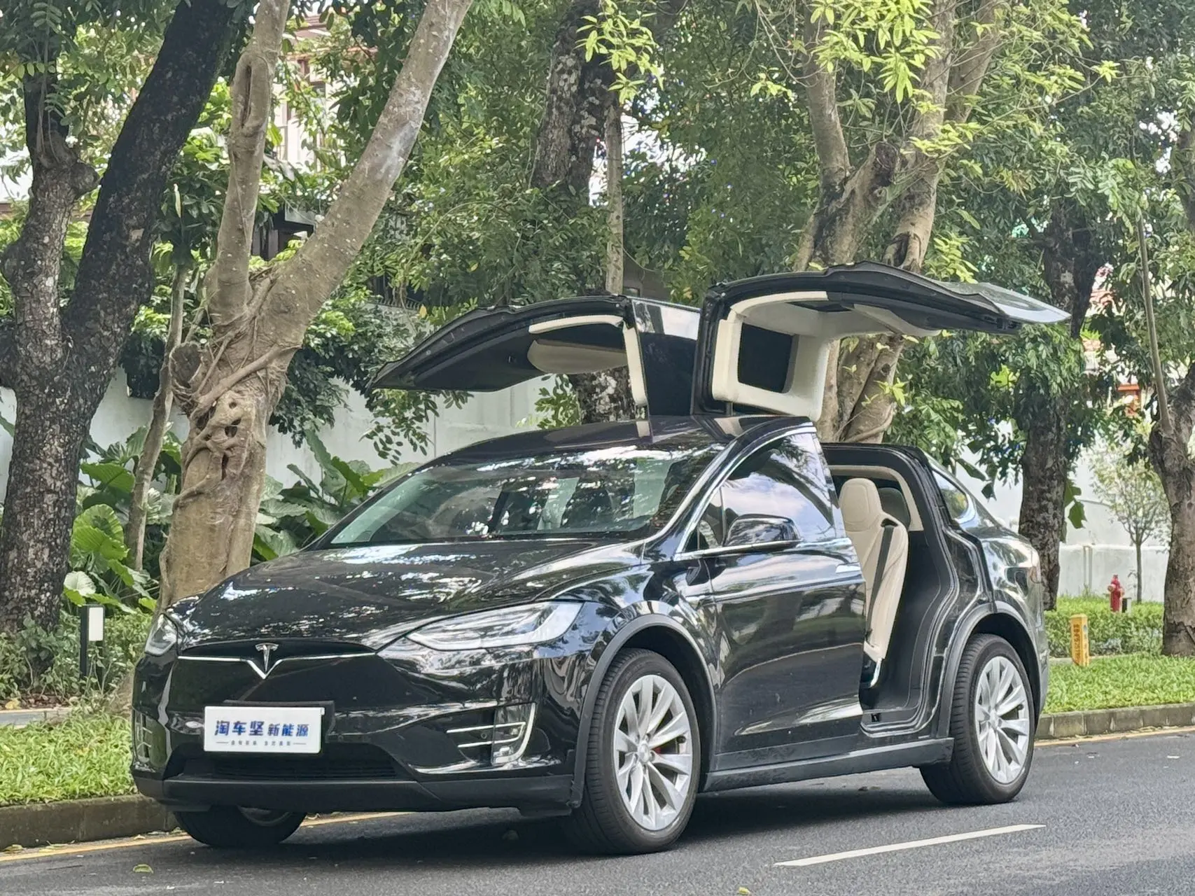 Tesla Model X