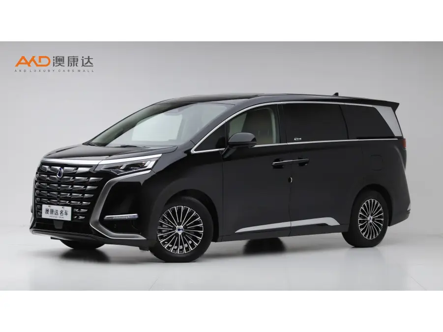 Denza D9 DM  из Китая