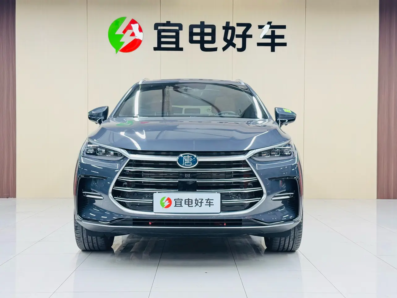 BYD Tang DM