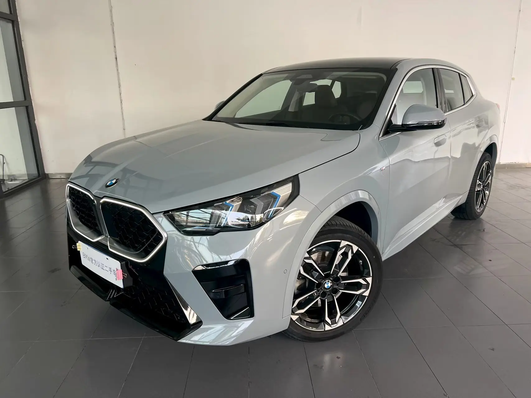 BMW X2 (imported)