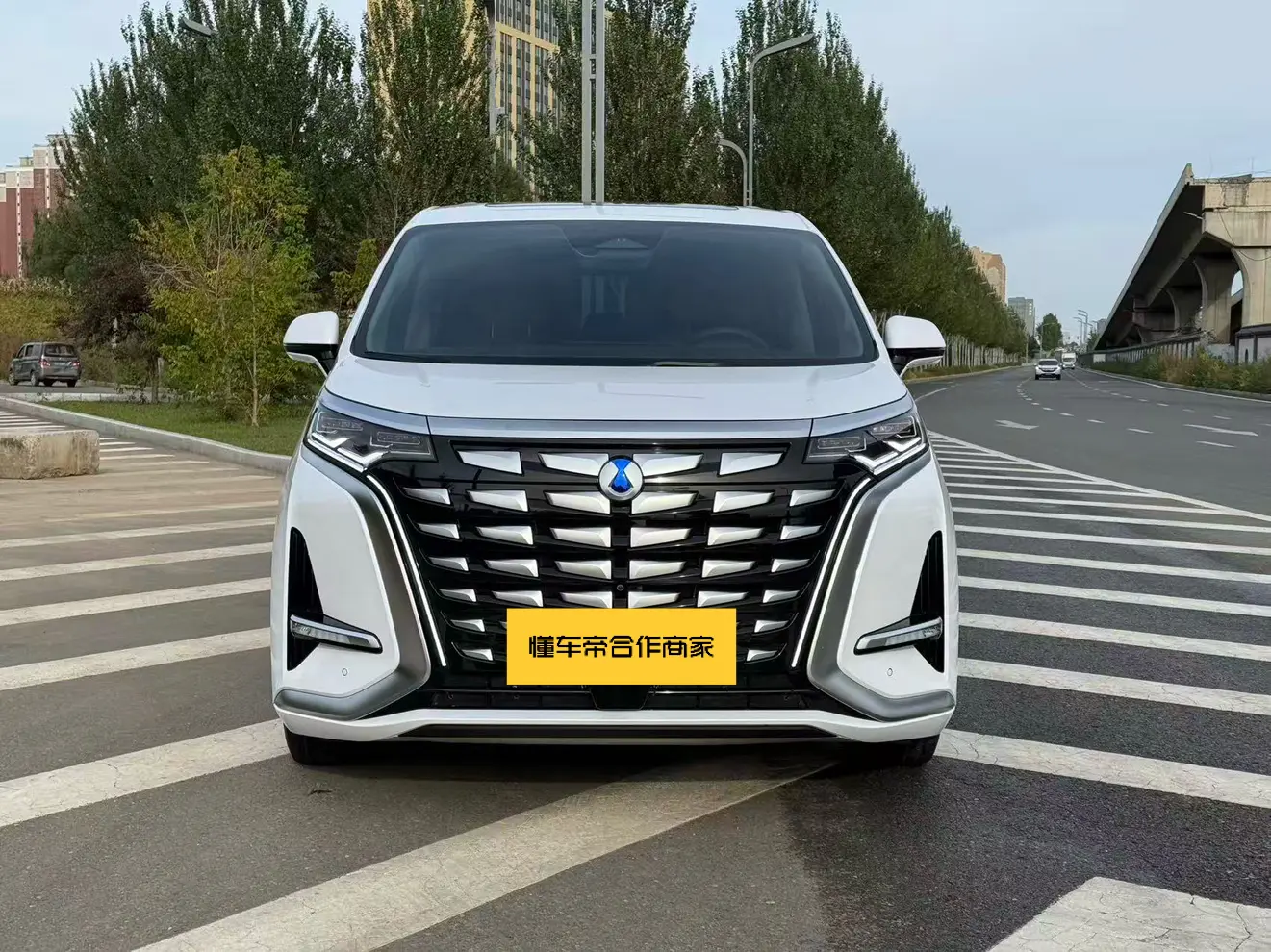 Denza D9 DM  из Китая