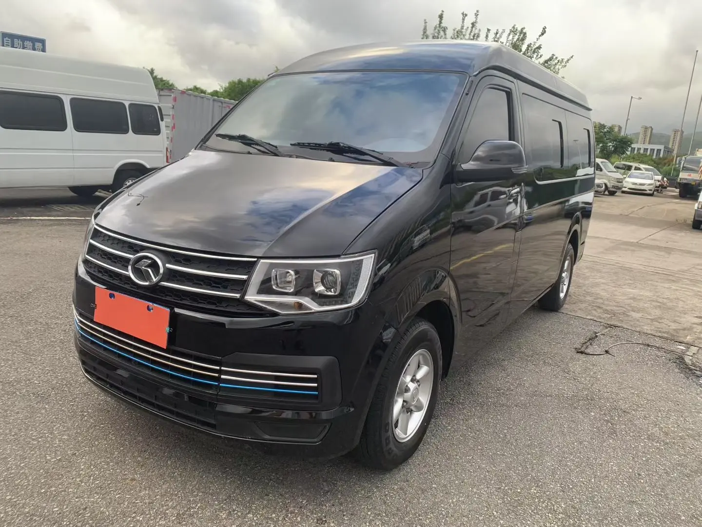 Golden dragon Kelly Hulk