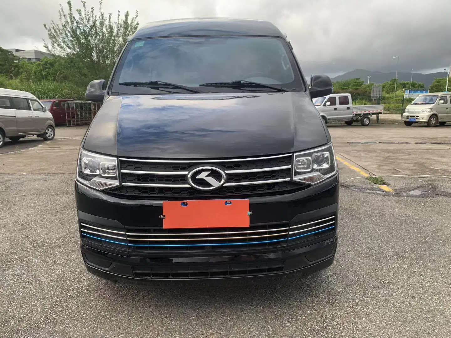 Golden dragon Kelly Hulk