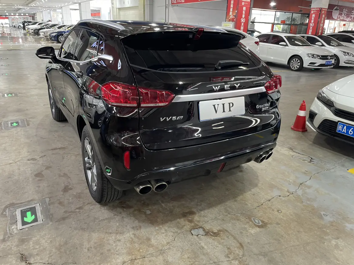 Wey Wei brand VV5