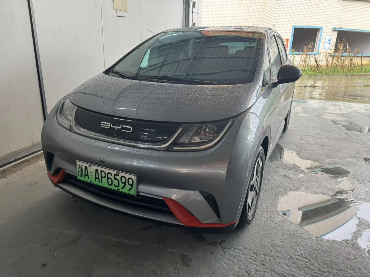 BYD Dolphin  из Китая