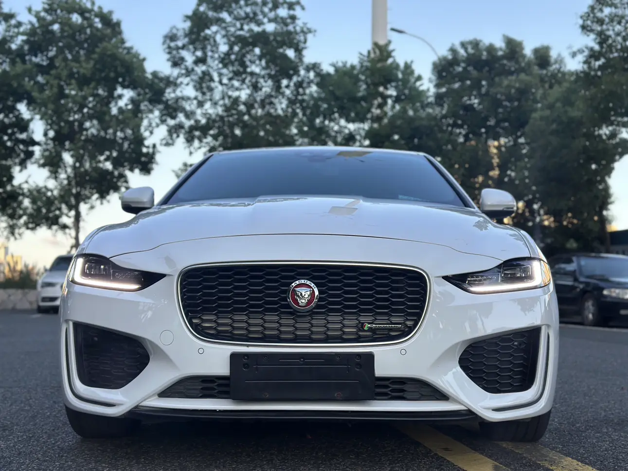 Jaguar XEL
