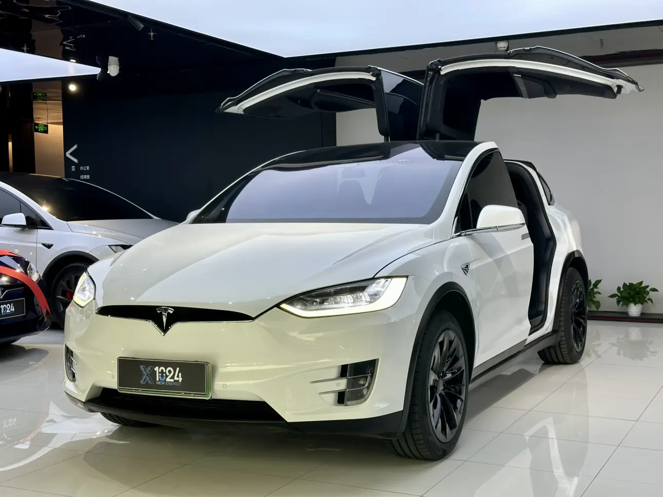 Tesla Model X