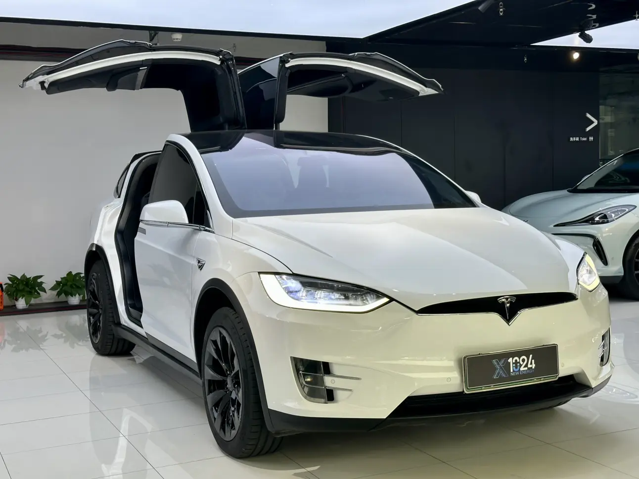 Tesla Model X