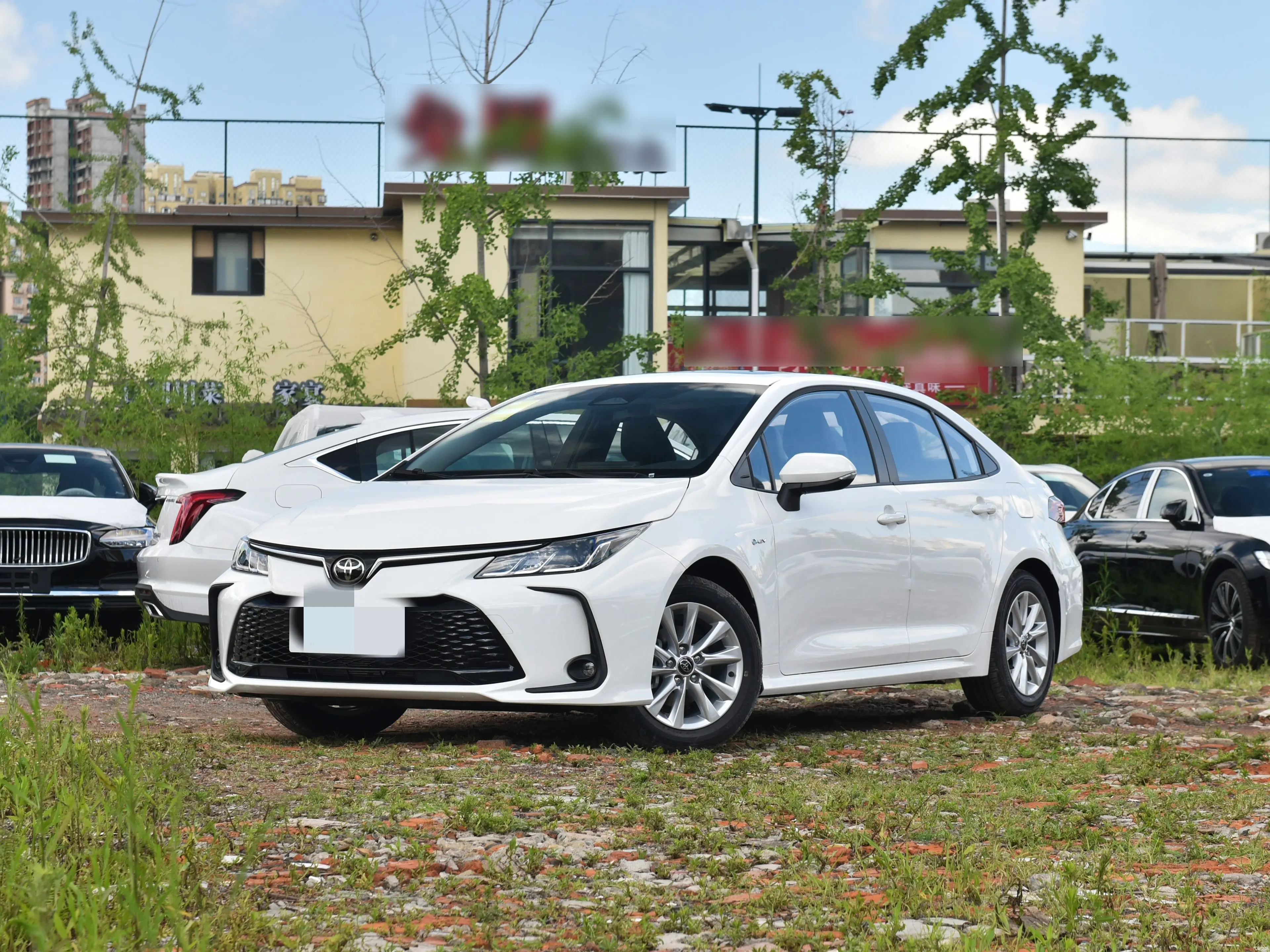 Toyota Corolla  из Китая