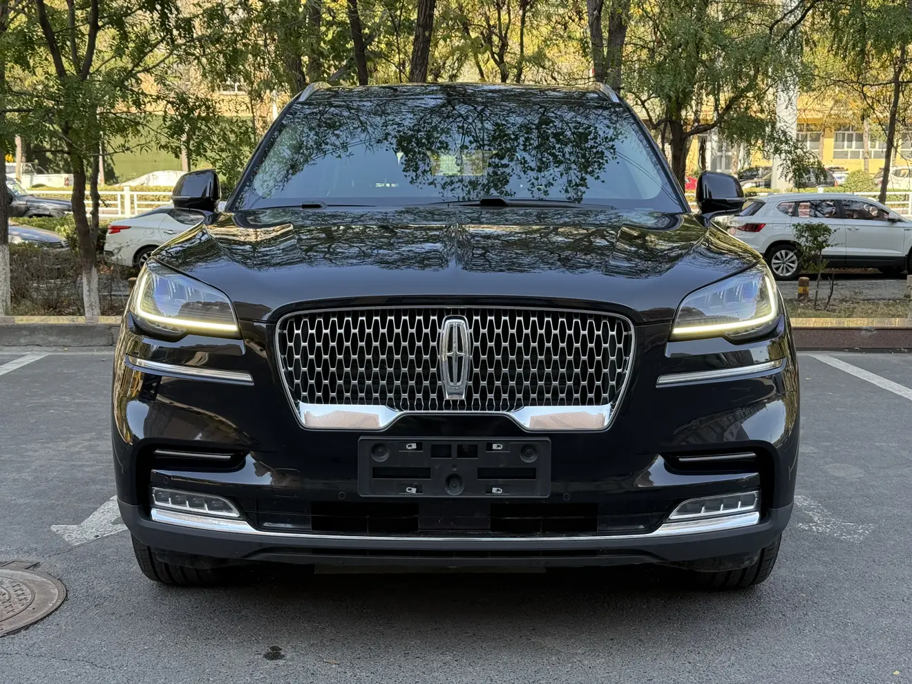Lincoln Aviator