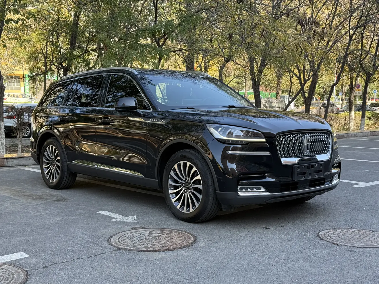 Lincoln Aviator