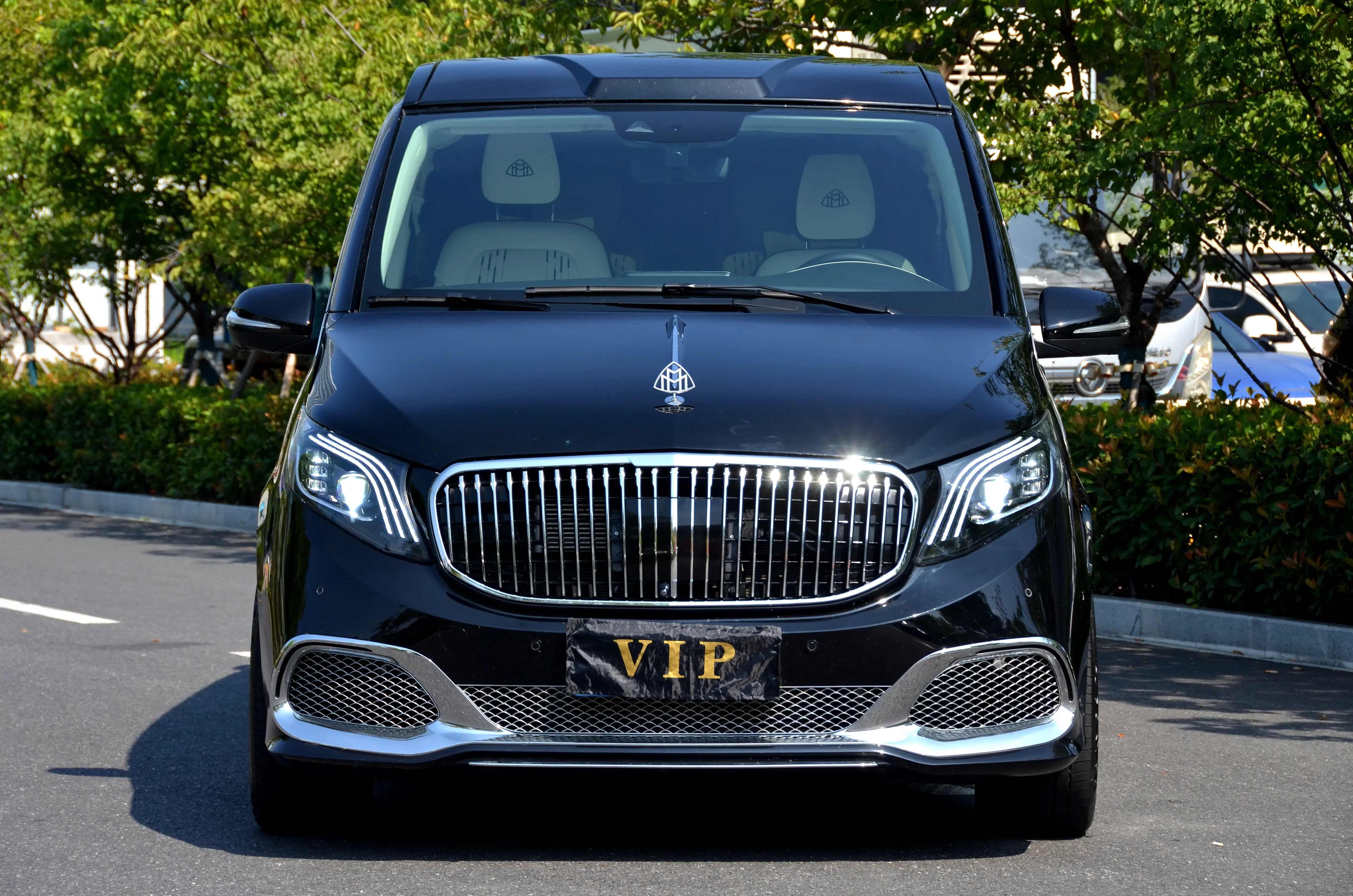 Mercedes-Benz Mercedes Benz V Class