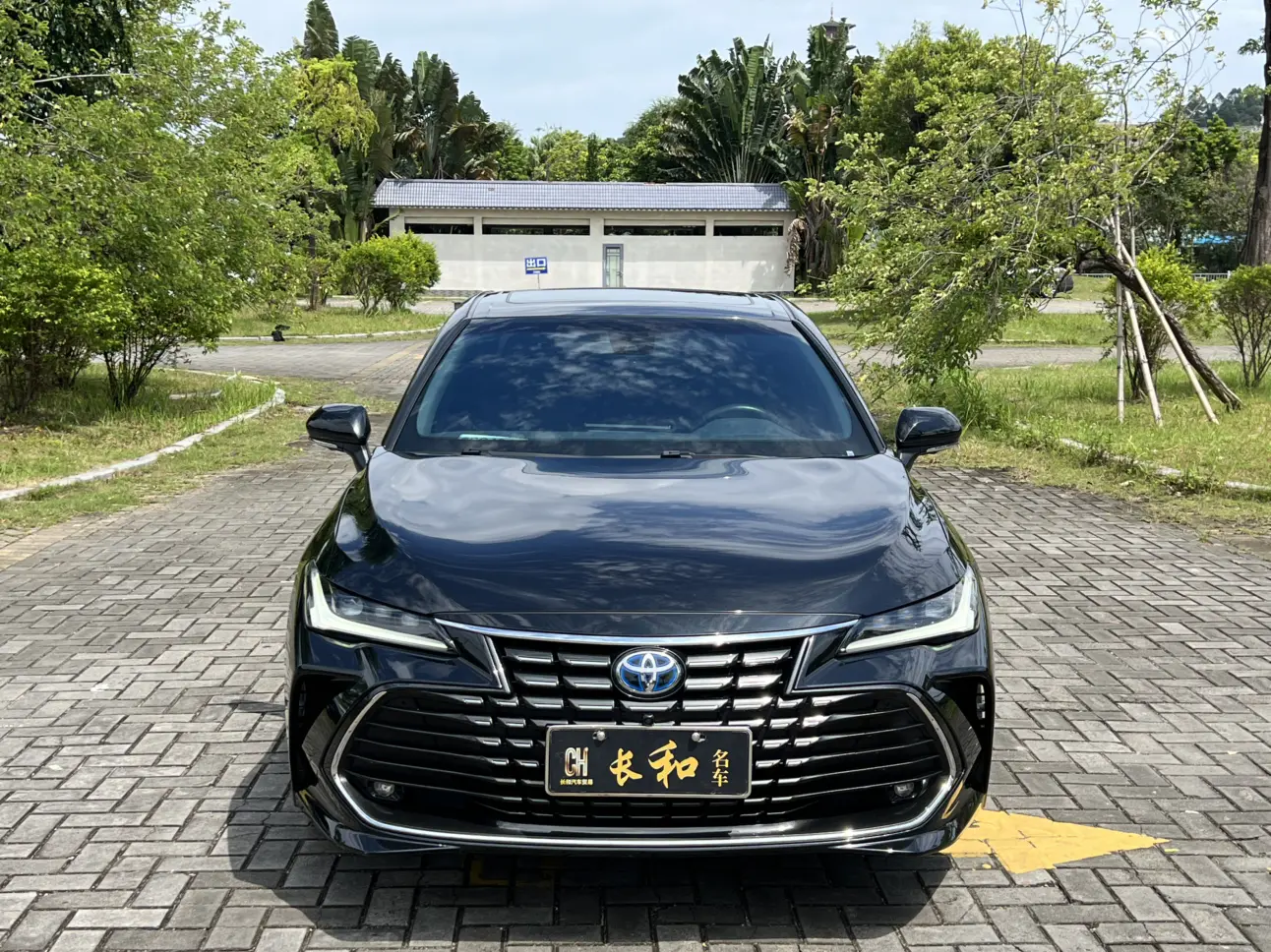 Toyota Avalon