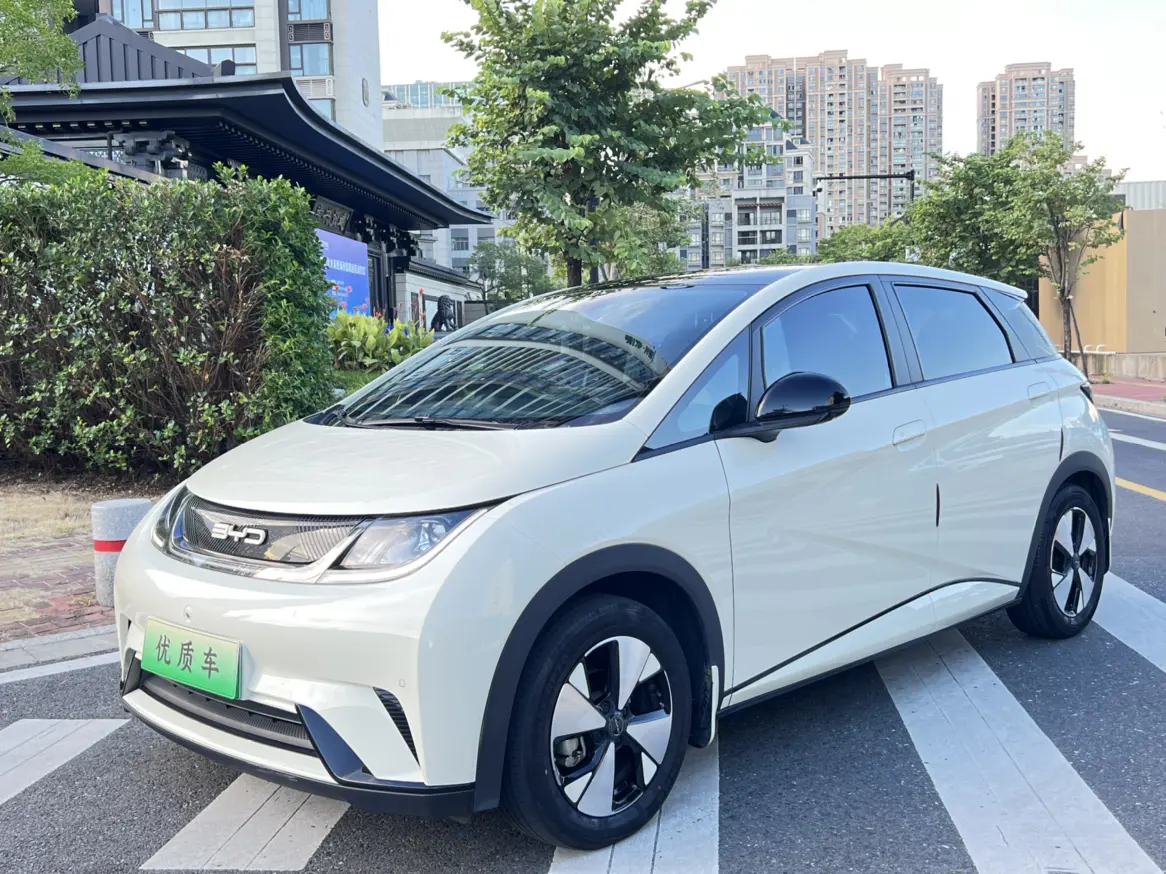 BYD Dolphin