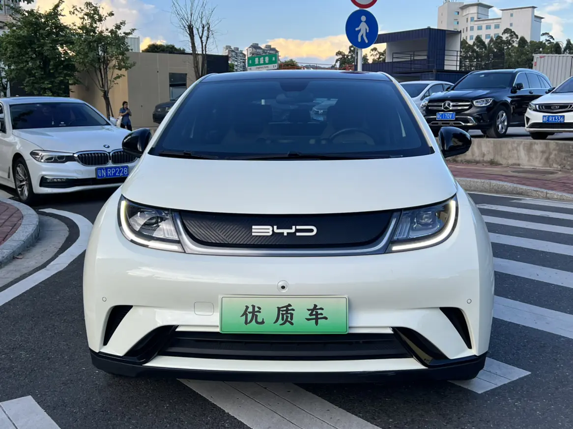 BYD Dolphin