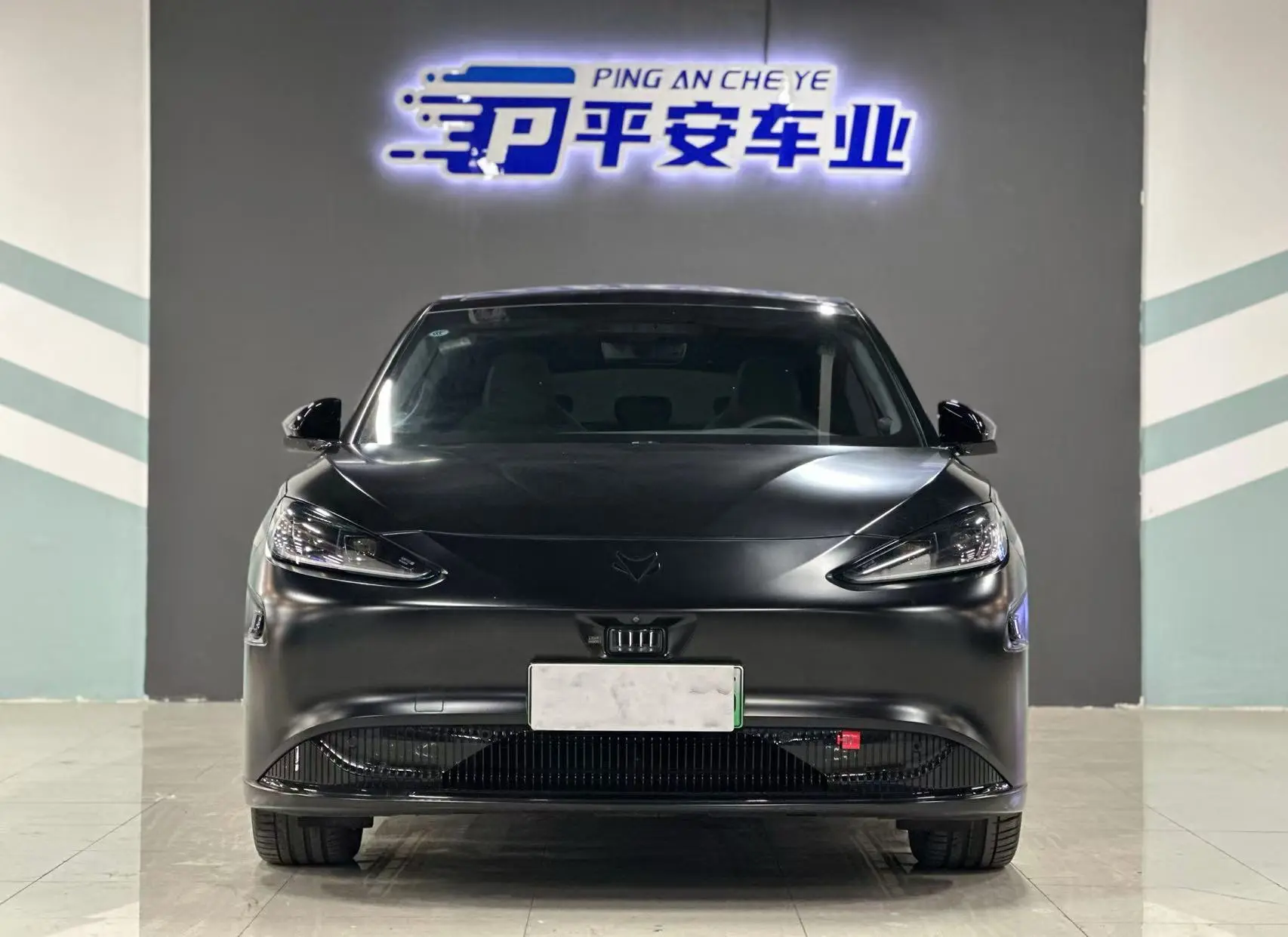 ARCFOX Extreme Fox Polar Fox Alpha S