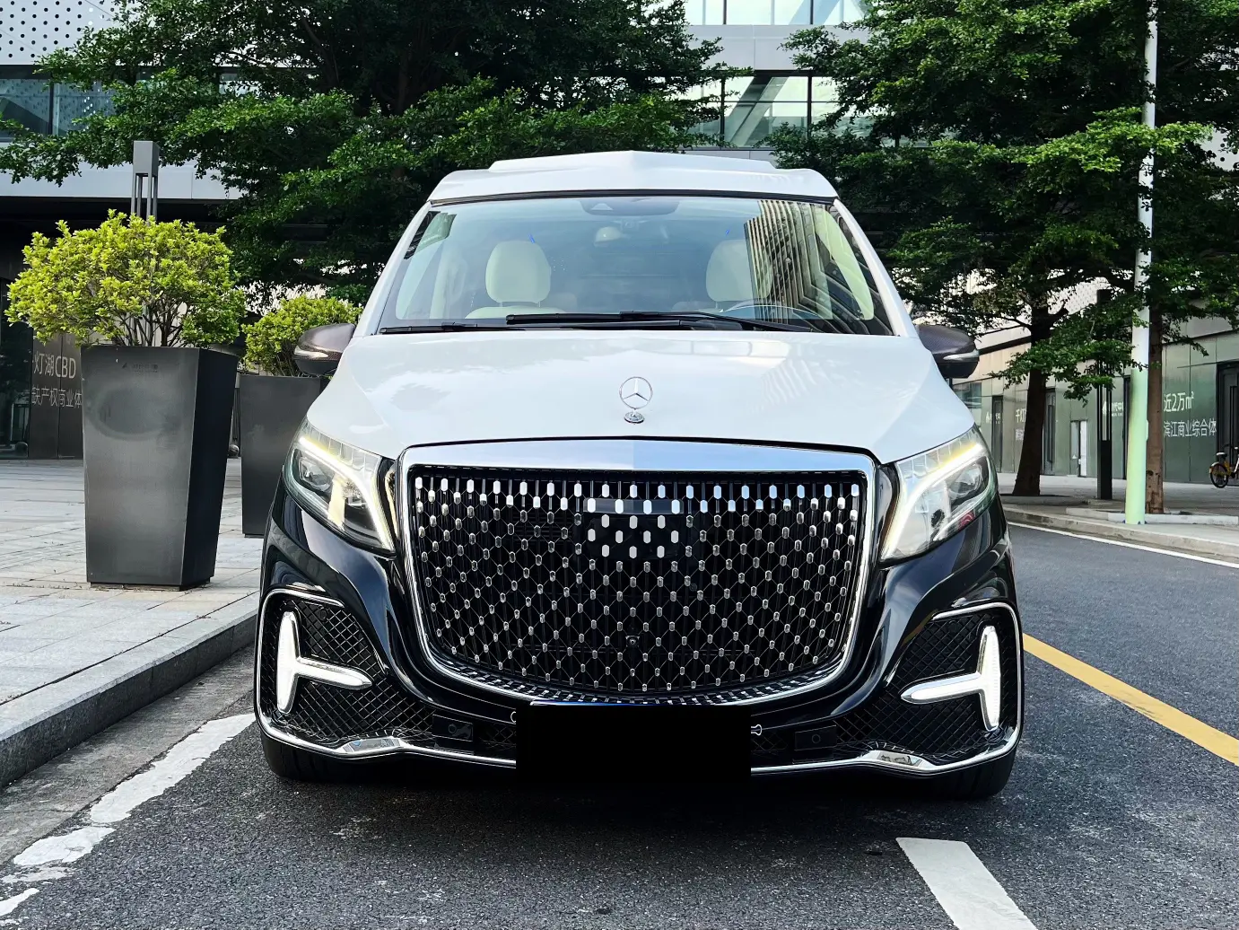 Mercedes-Benz Mercedes Benz V Class